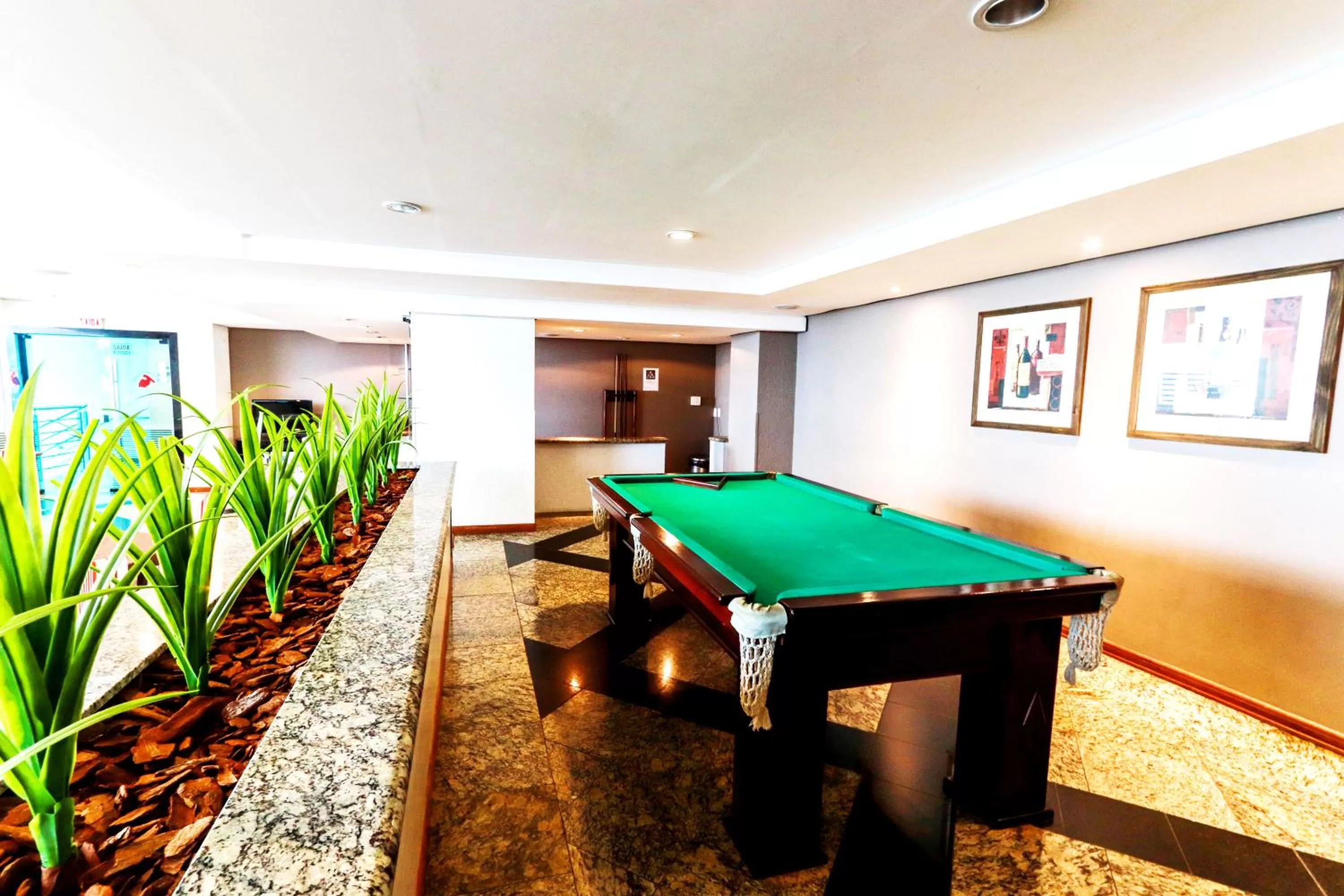 Billiard in Atobá Praia Hotel