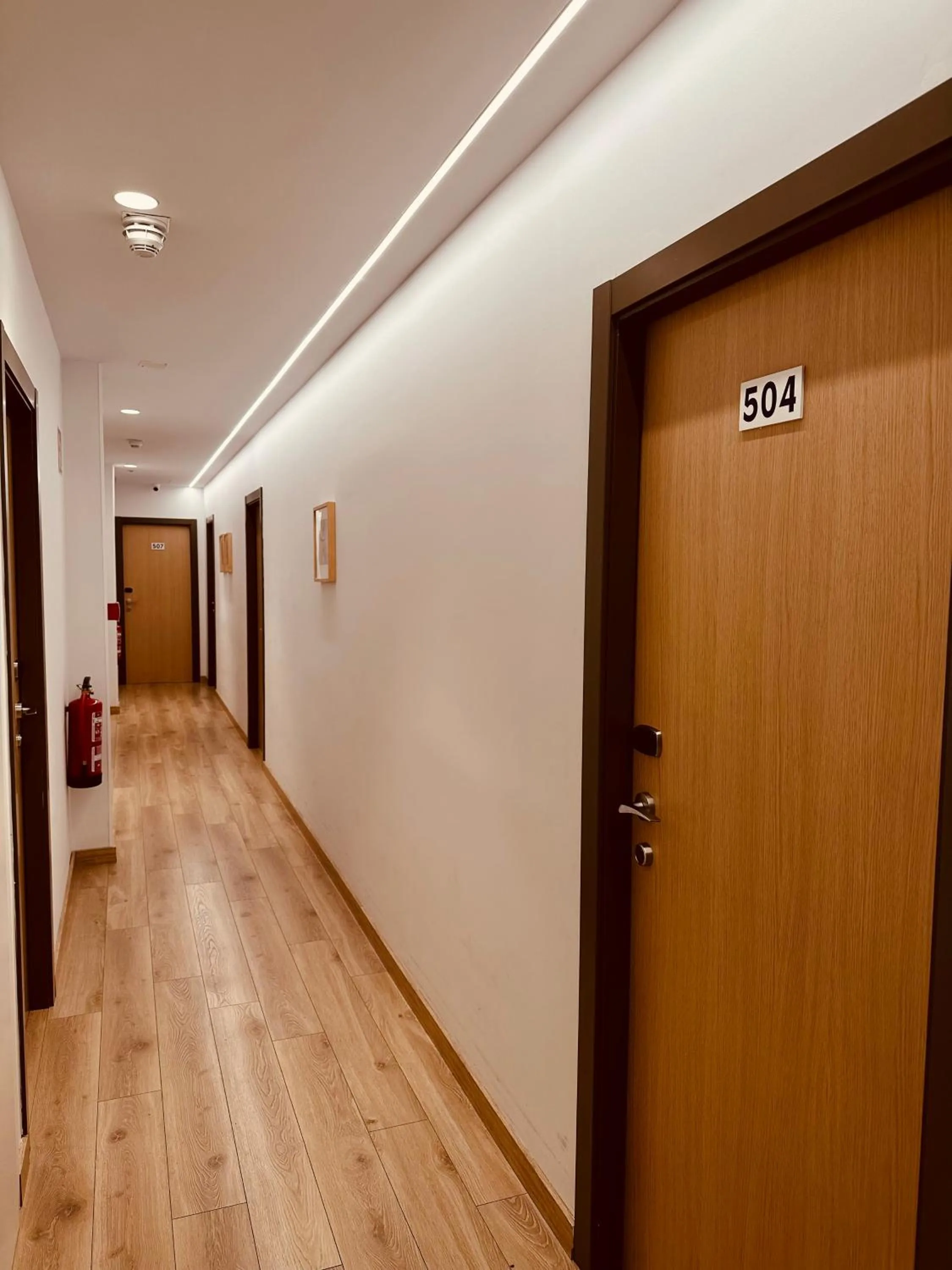 Area and facilities in Hostal Abadia Madrid