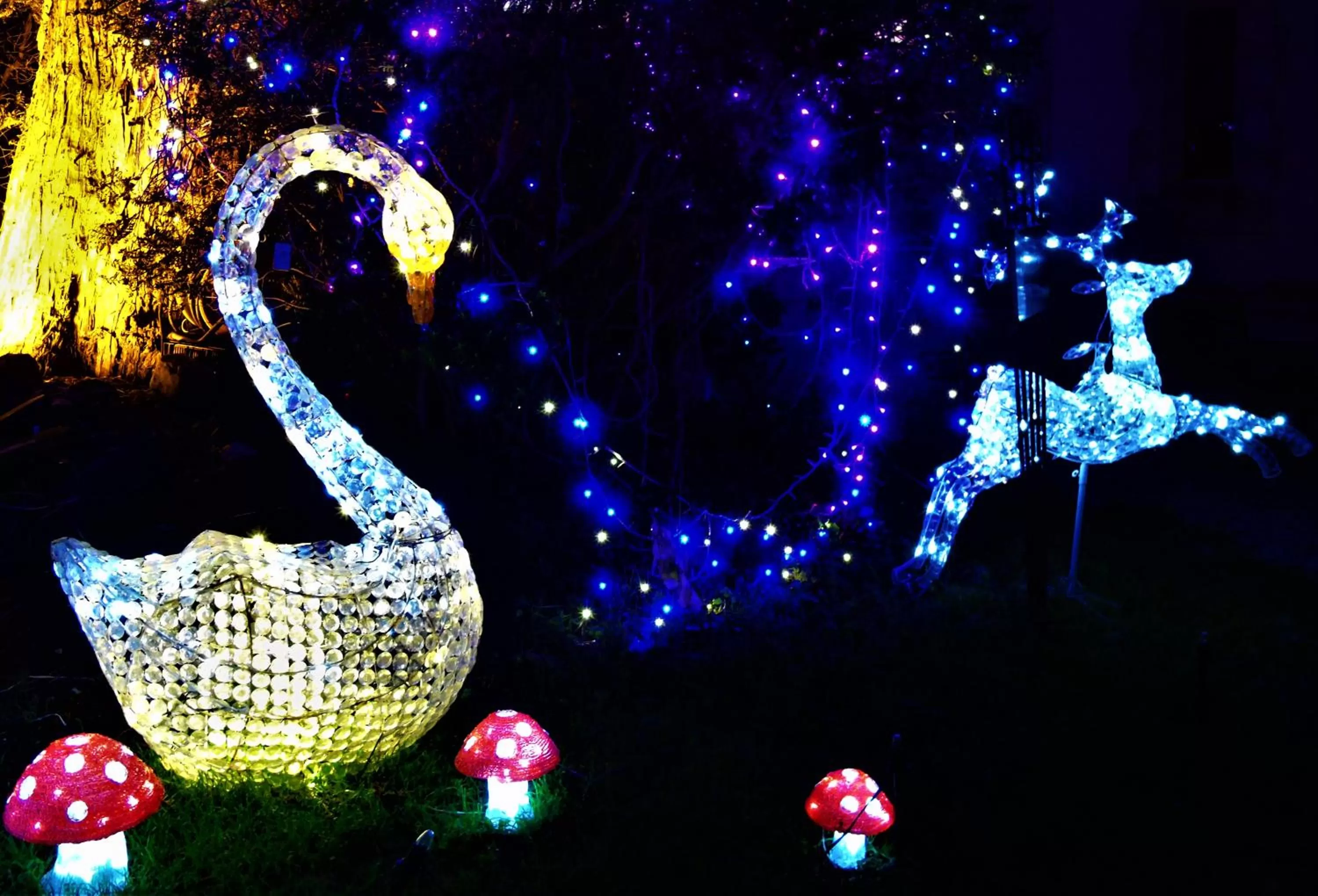 Animals in Château de Bellefontaine - Teritoria