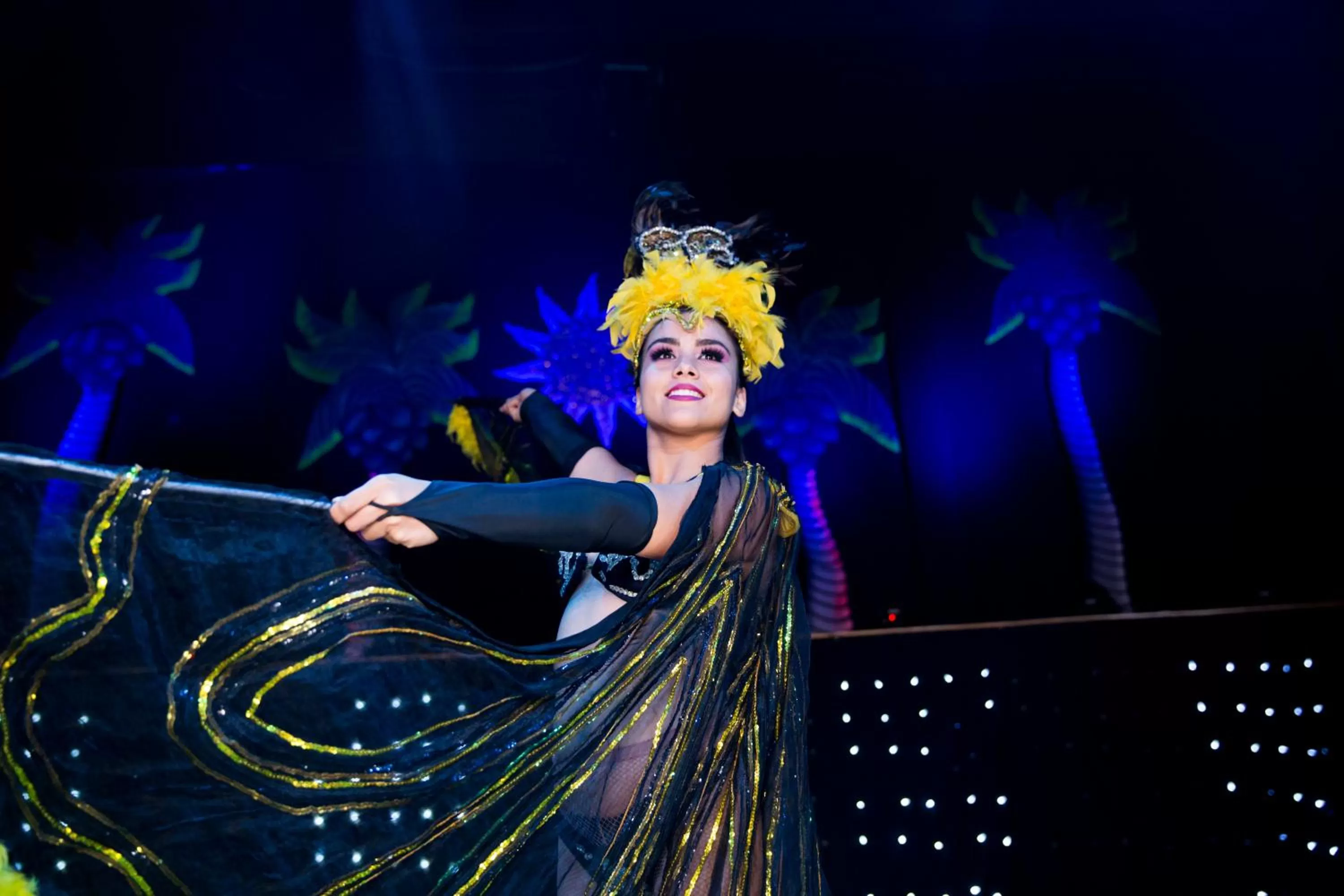 Evening entertainment in Vamar Vallarta All Inclusive Marina & Beach Resort