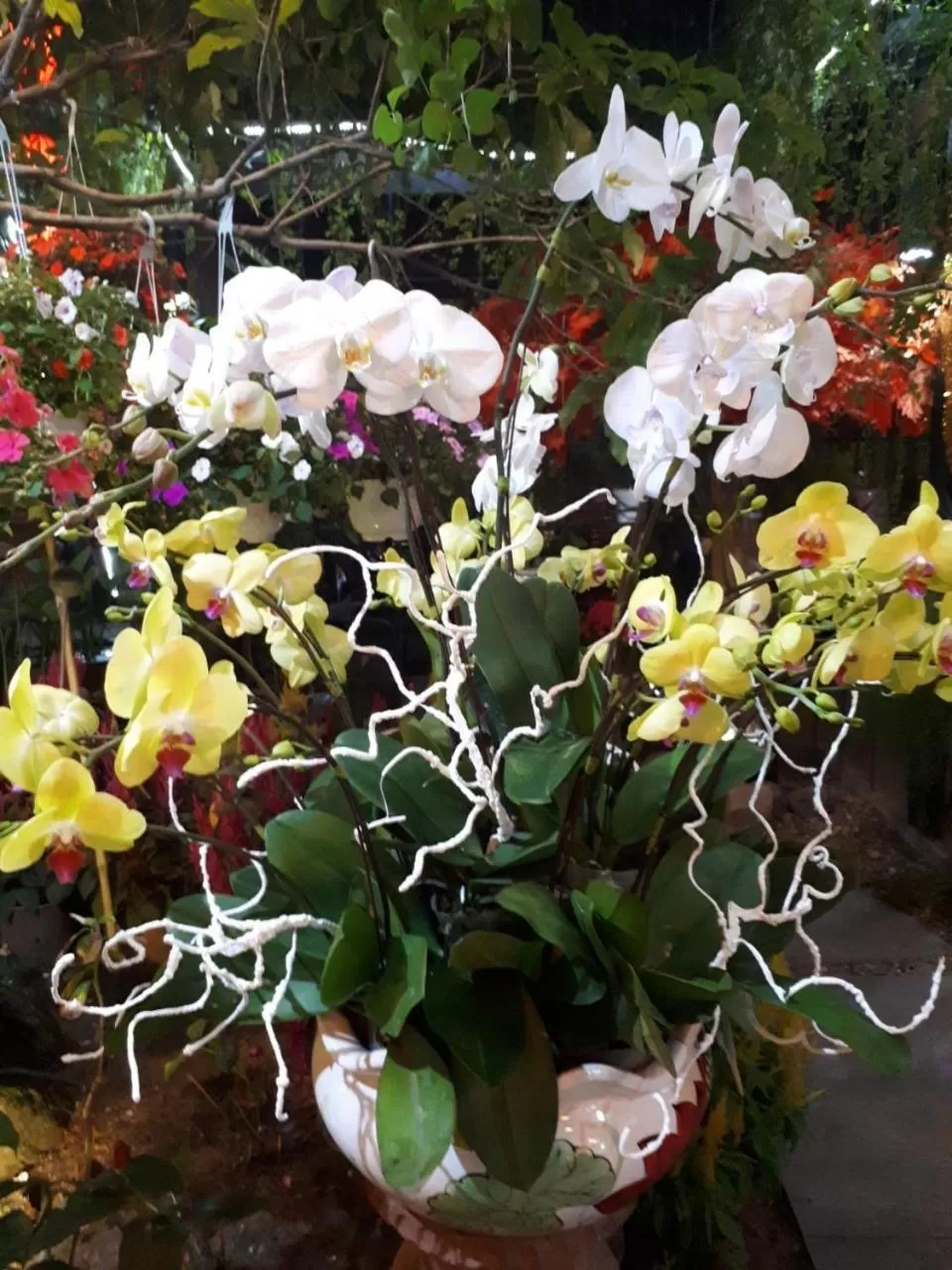 Khách Sạn Hiệp Yến