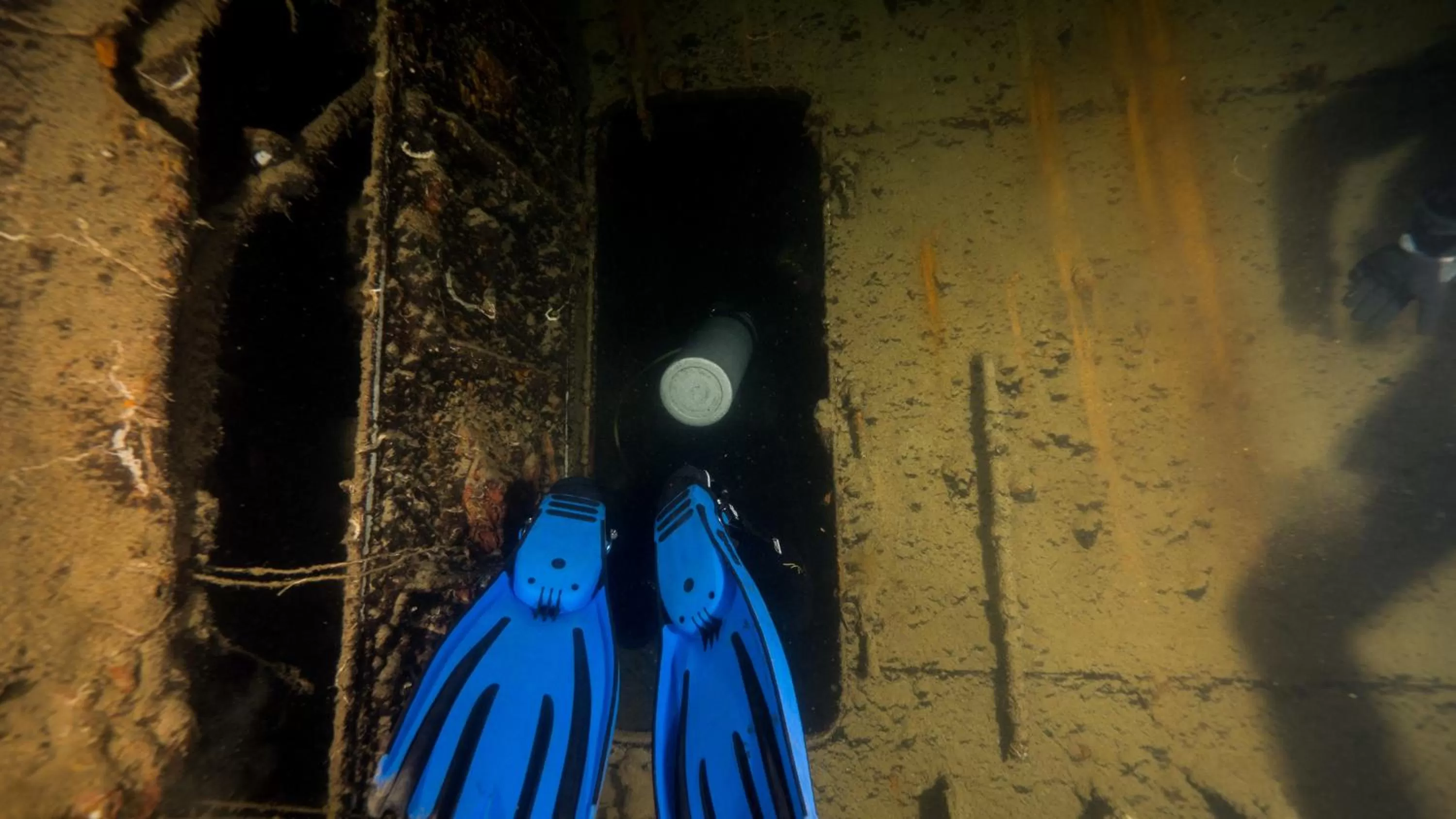 Activities in Chindonan Dive and Beach Resort