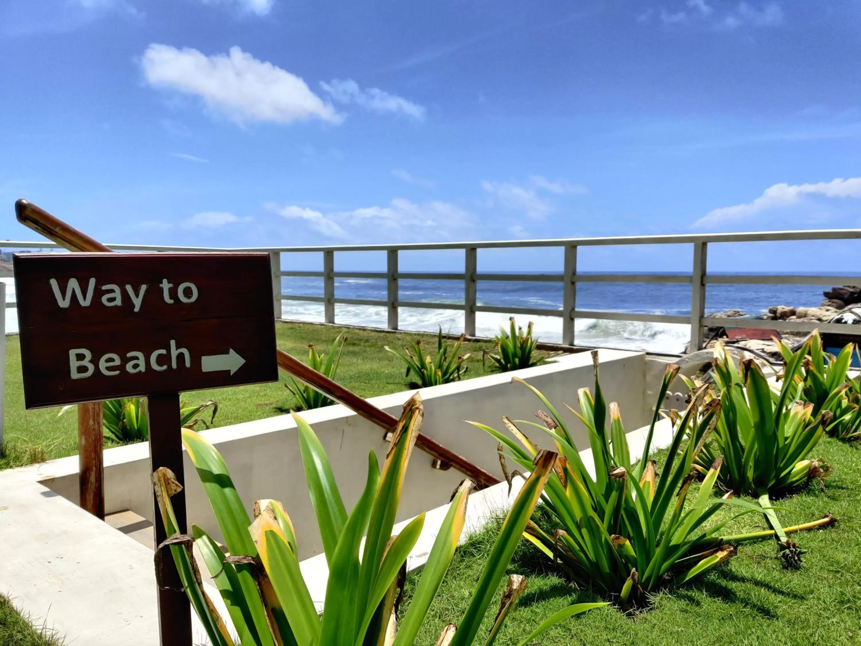 Natural landscape in Rockholm at the Light House Beach