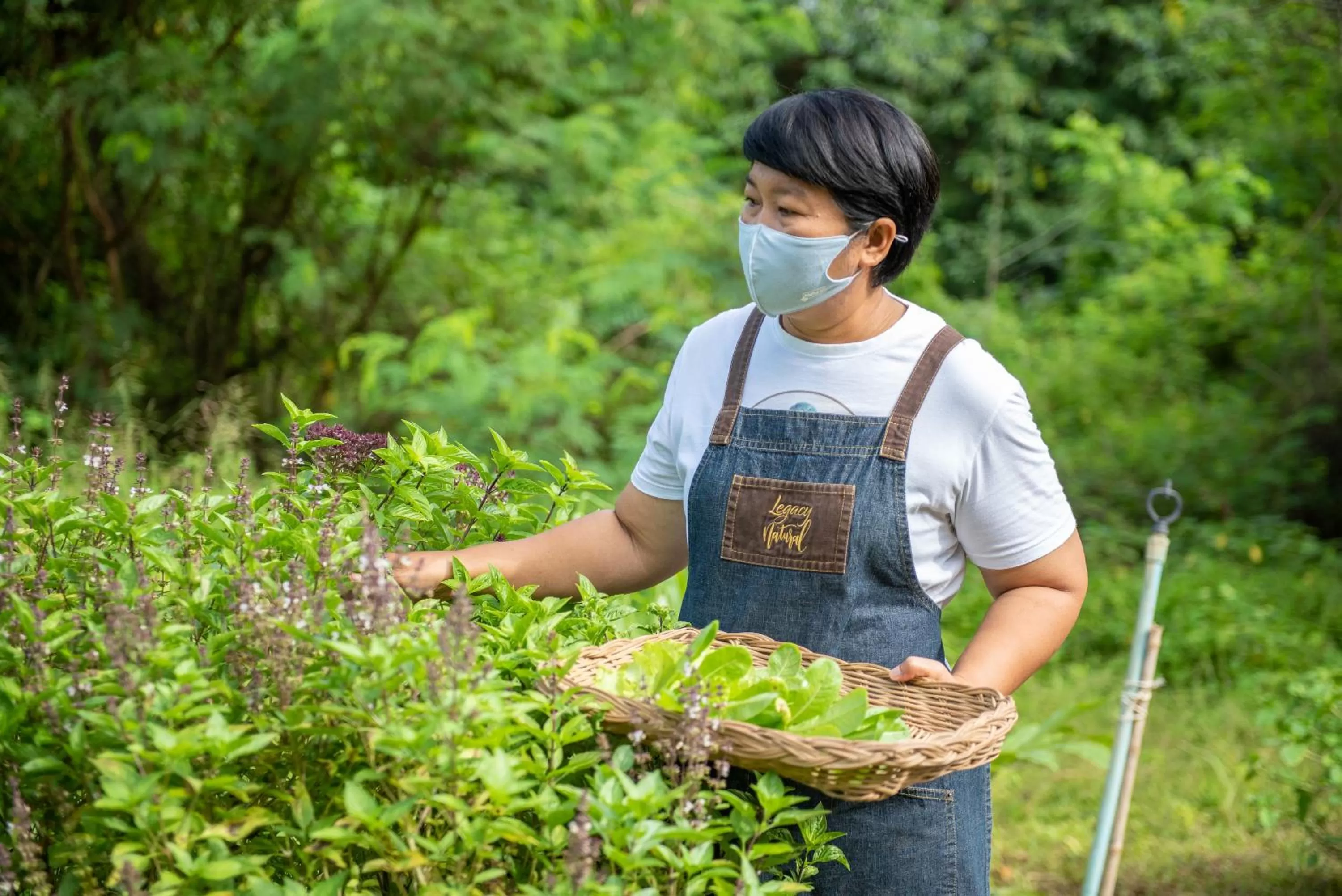 Activities in The Legacy River Kwai Resort