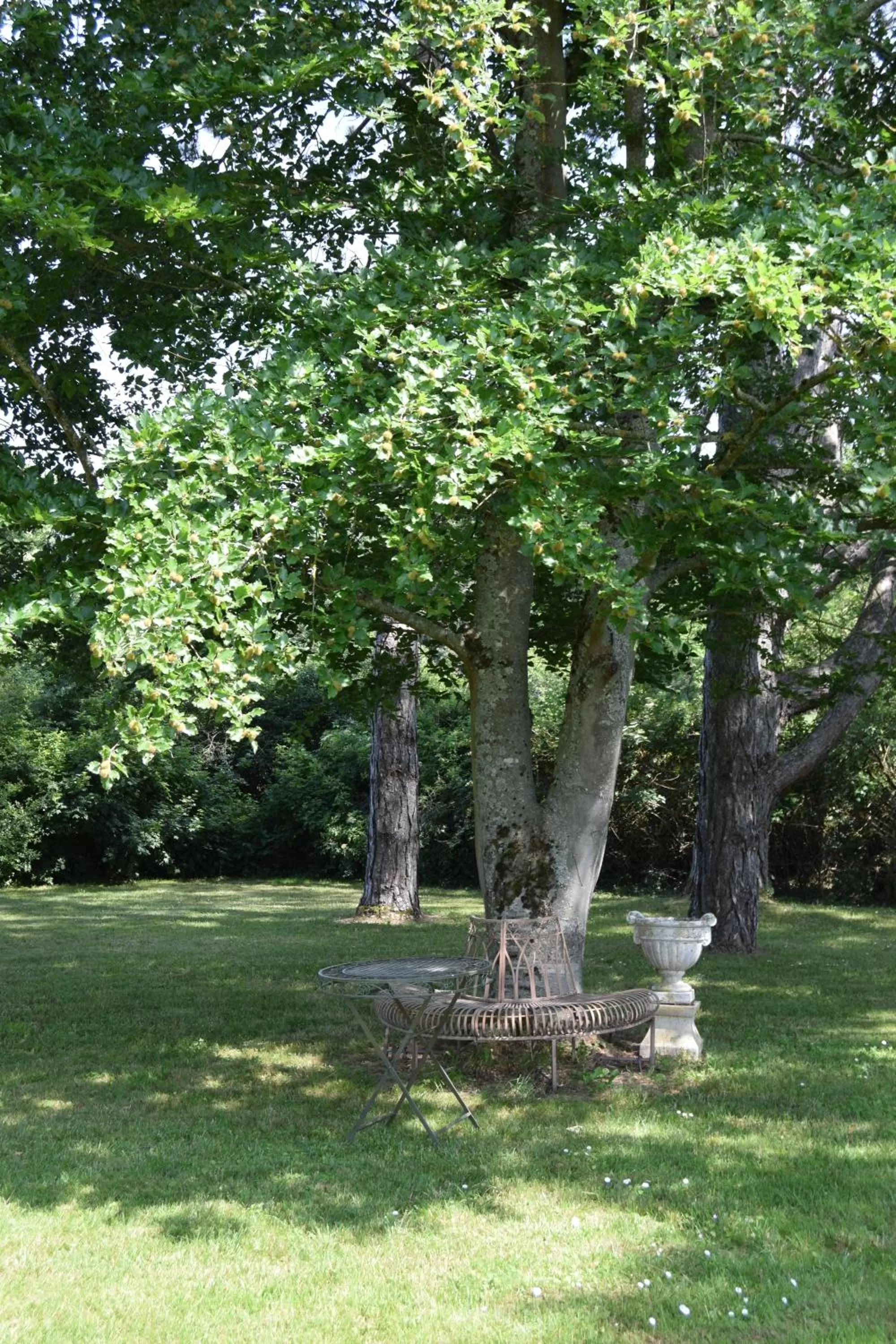 Natural landscape, Garden in La Rochelière