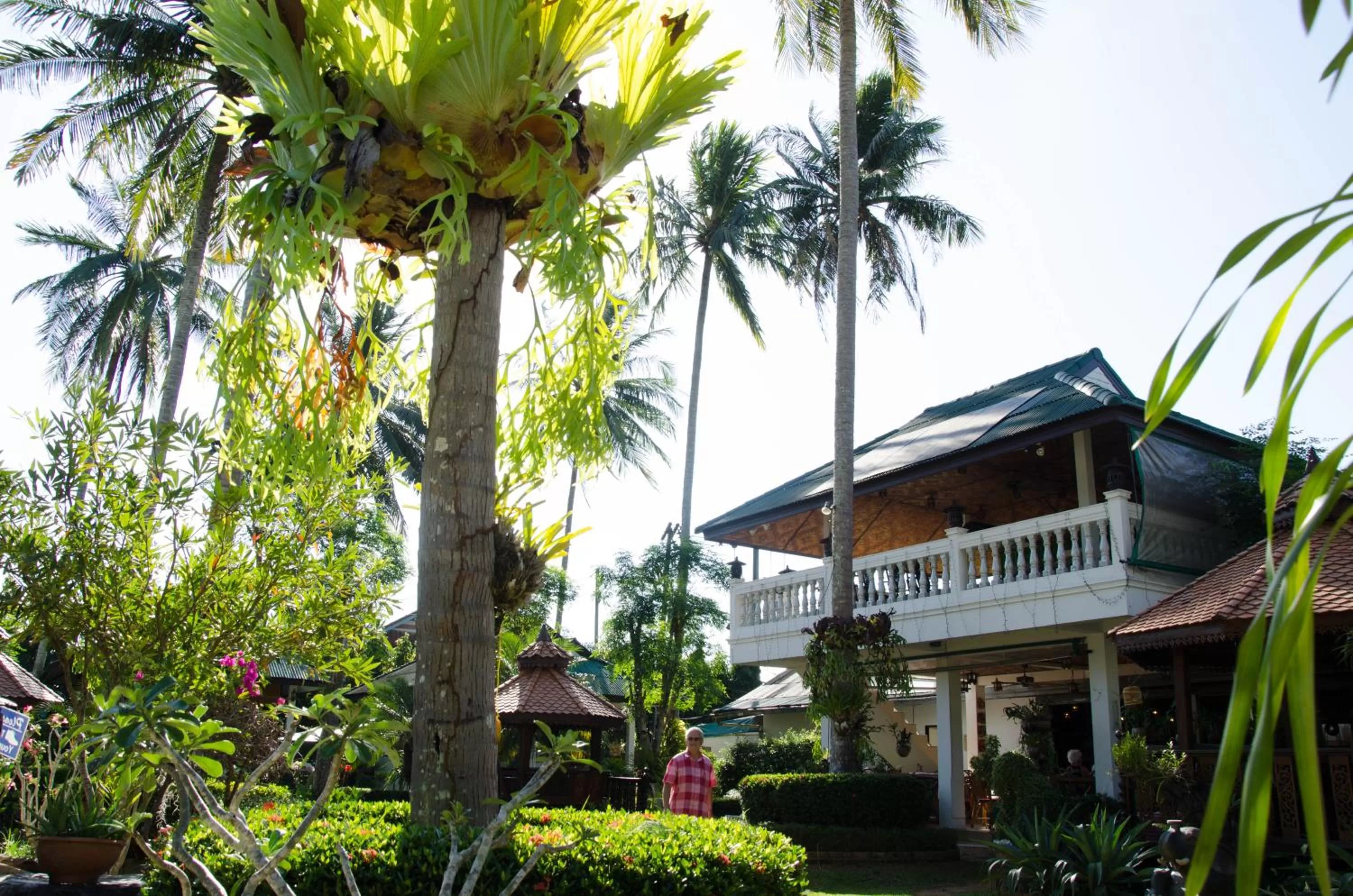Property building in Jungle Village Bungalow