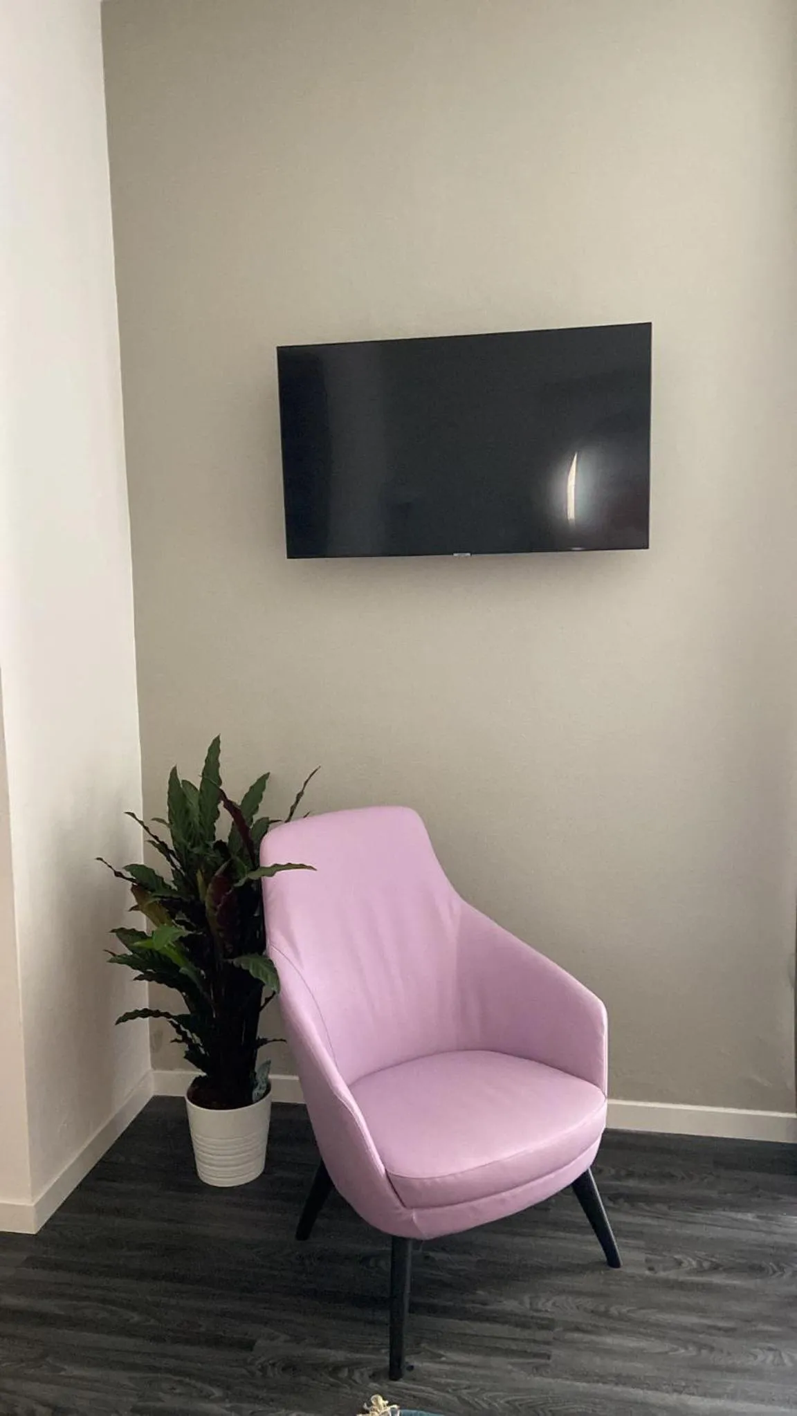 Communal lounge/ TV room in Hotel Delle Camelie