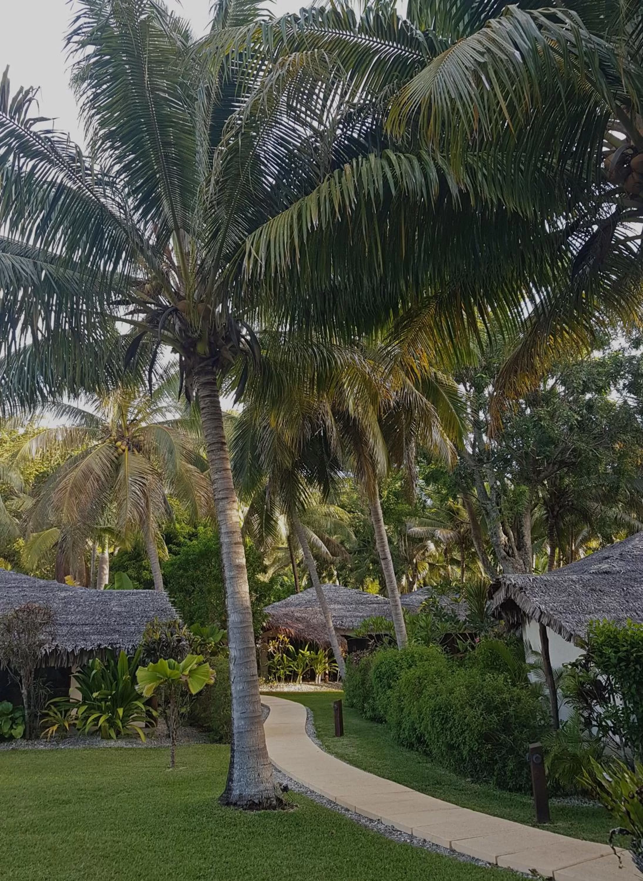 Garden in Paradise Cove Resort