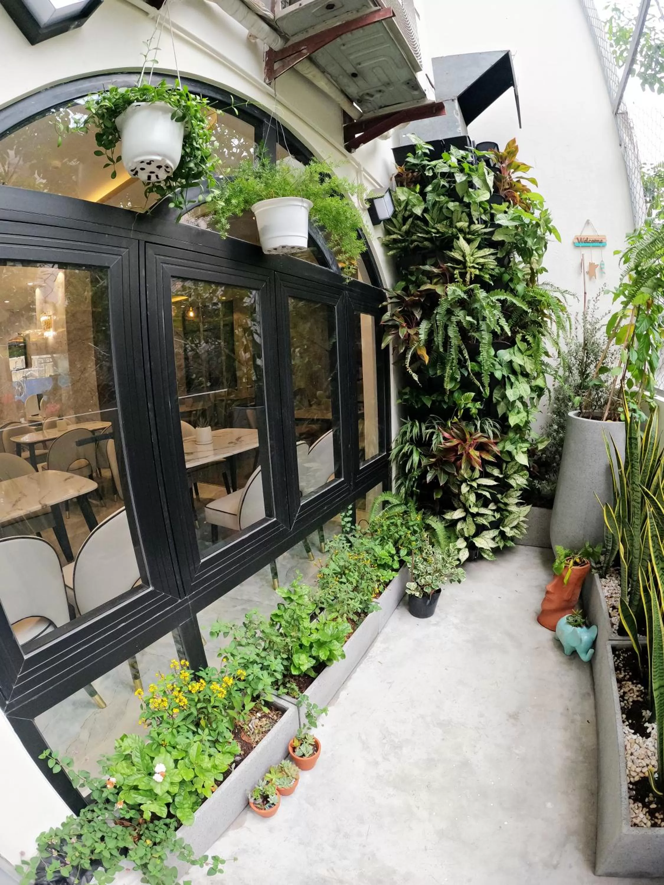 Garden in Dinh Phat Hotel