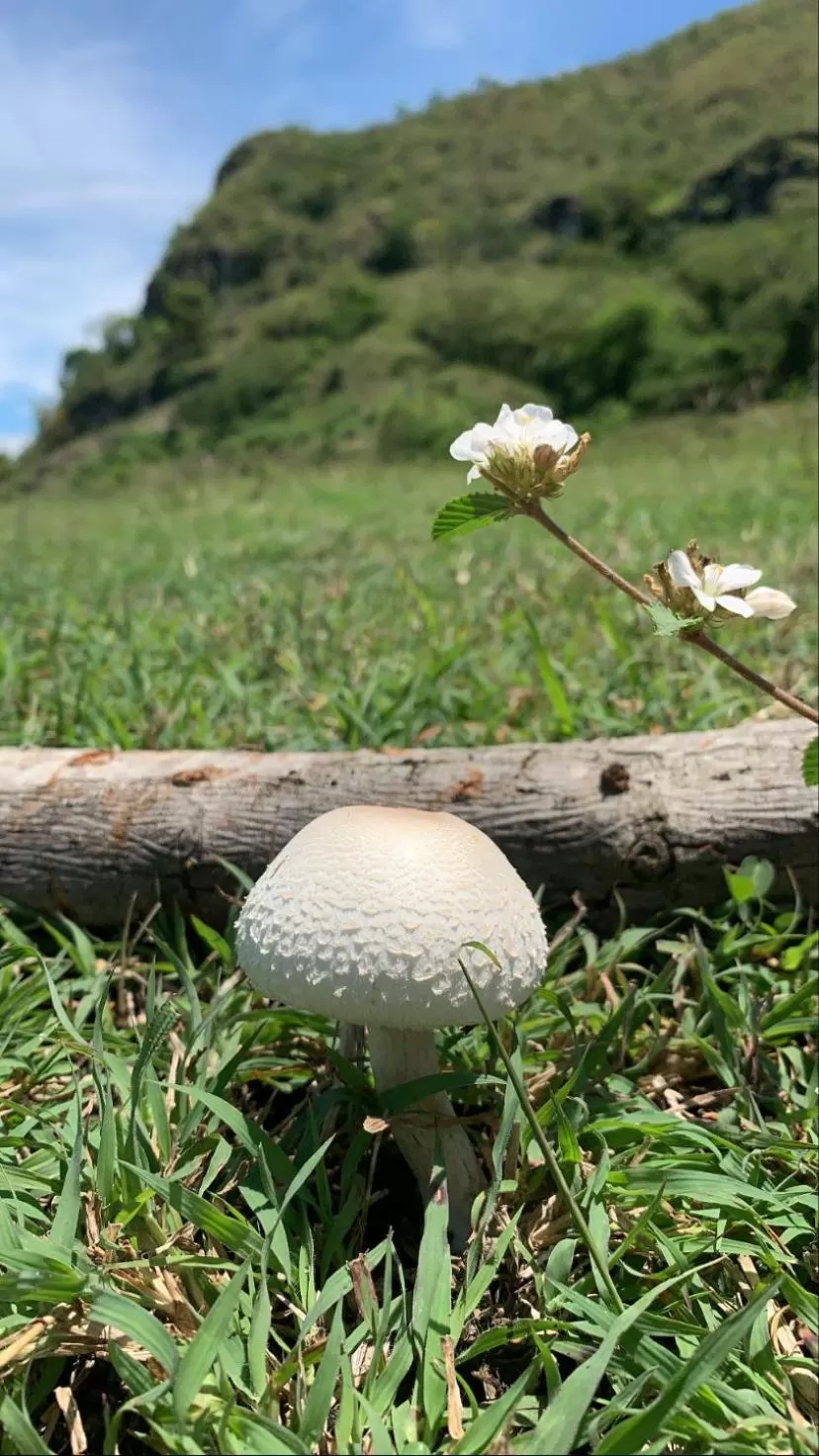 Area and facilities in Waka Hotel Rural