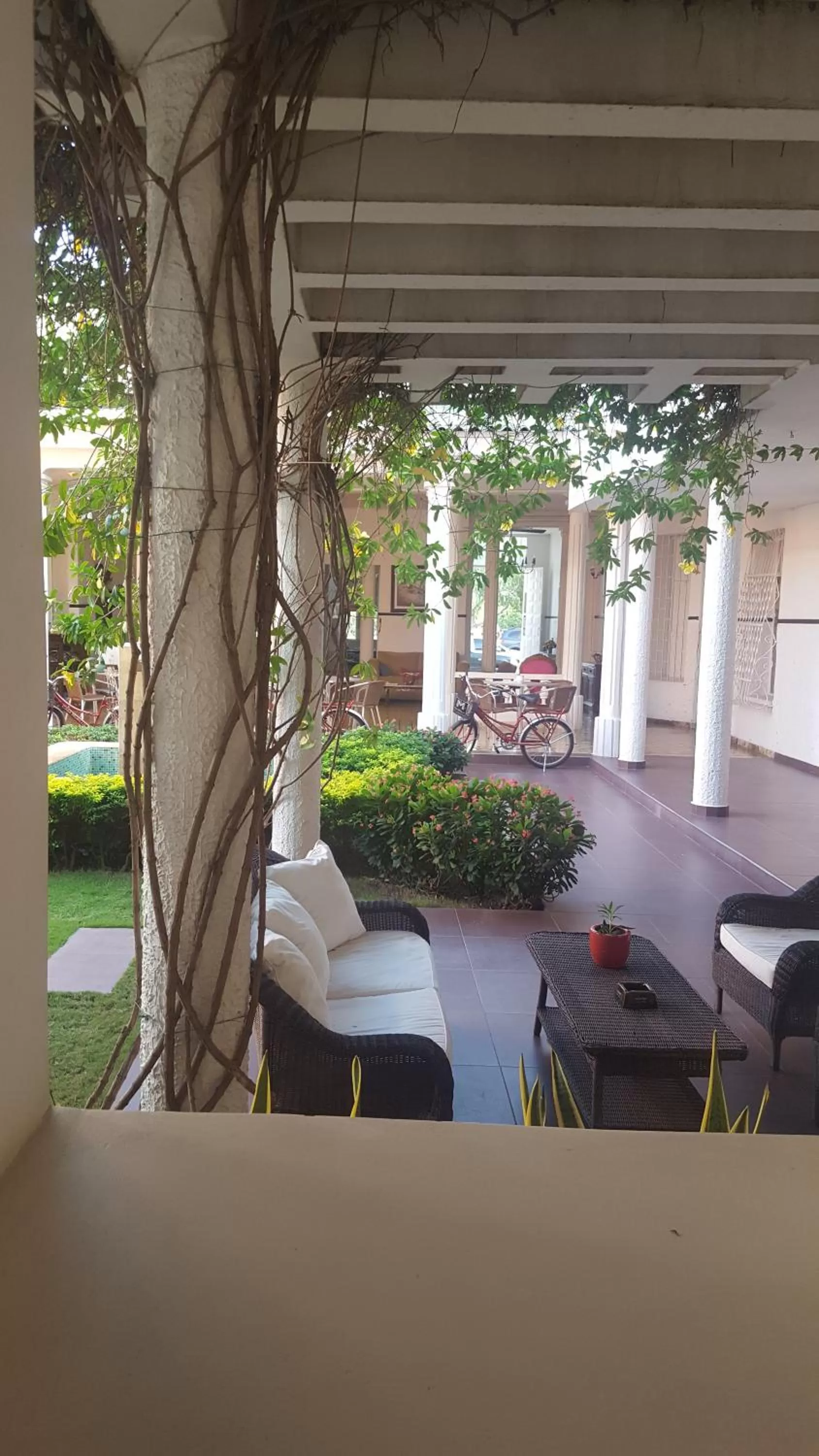 Garden view in Casa Murillo Hotel