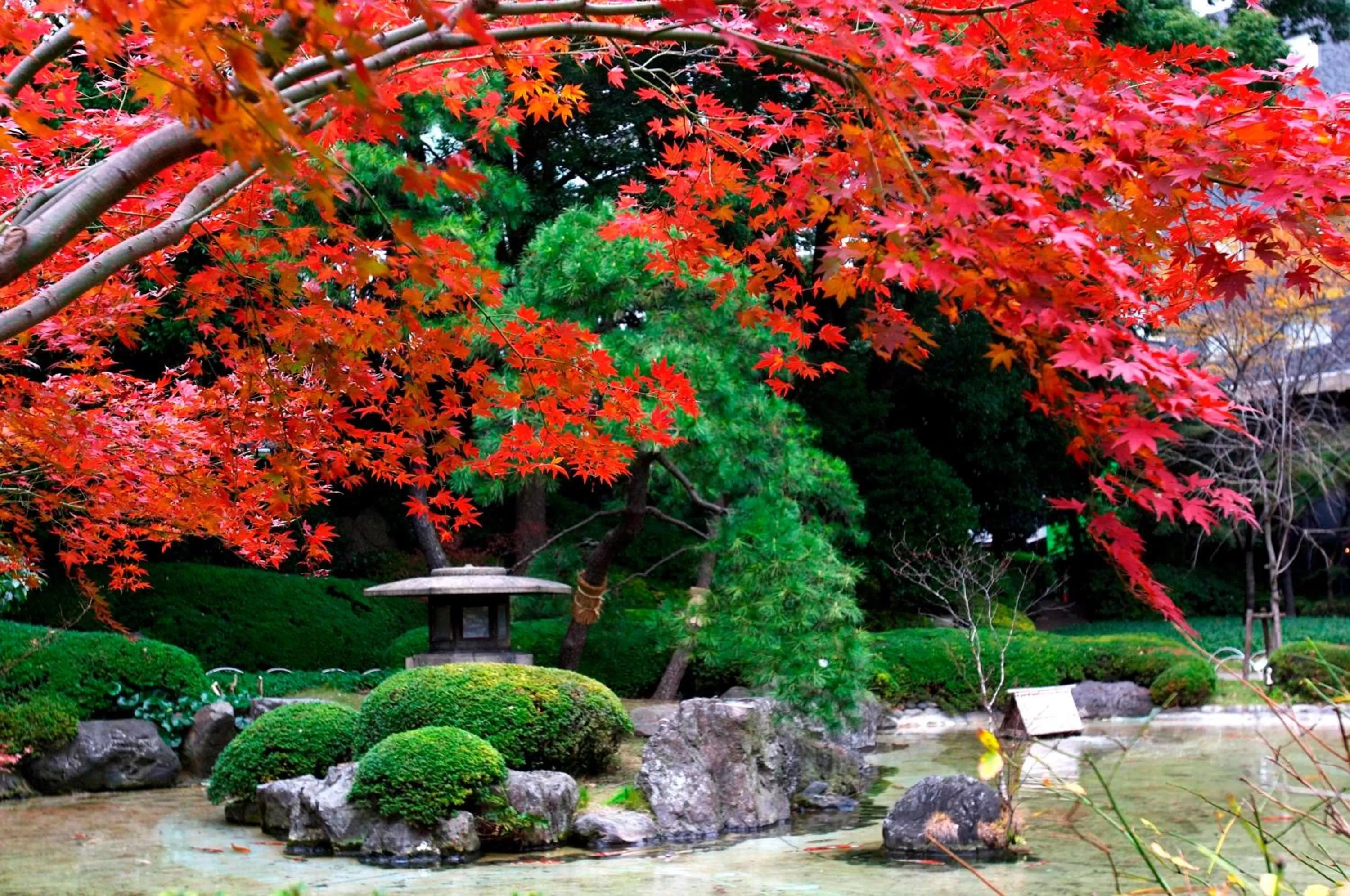 Garden in Grand Prince Hotel Takanawa