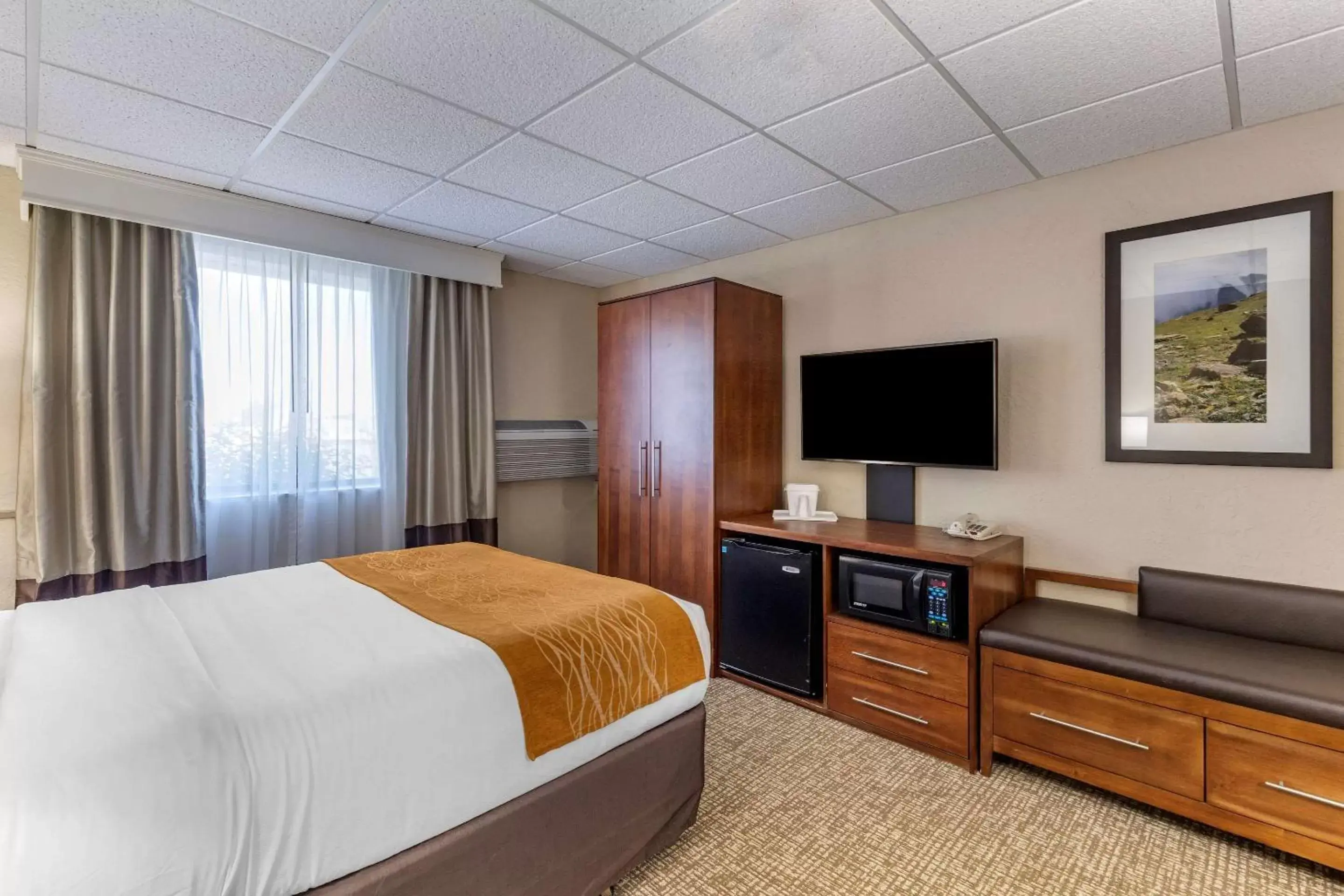 Standard Queen Room with Transfer Shower - Accessible/Non-Smoking in Comfort Inn Butte City Center I-15 - I-90 Standard Queen Room with Transfer Shower - Accessible/Non-Smoking in Comfort Inn Butte City Center I-15 - I-90