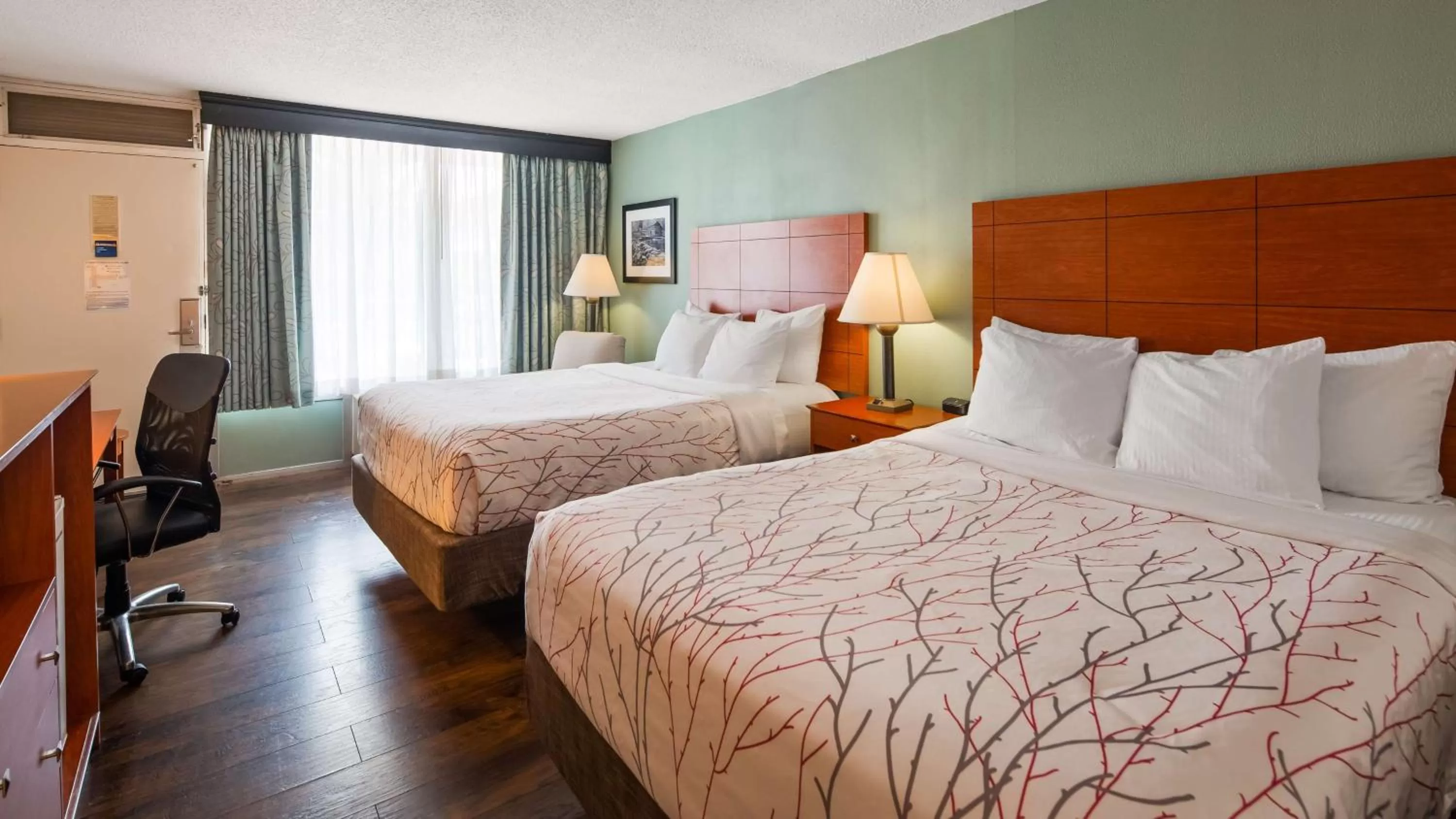 Photo of the whole room, Bed in Best Western Fredericksburg