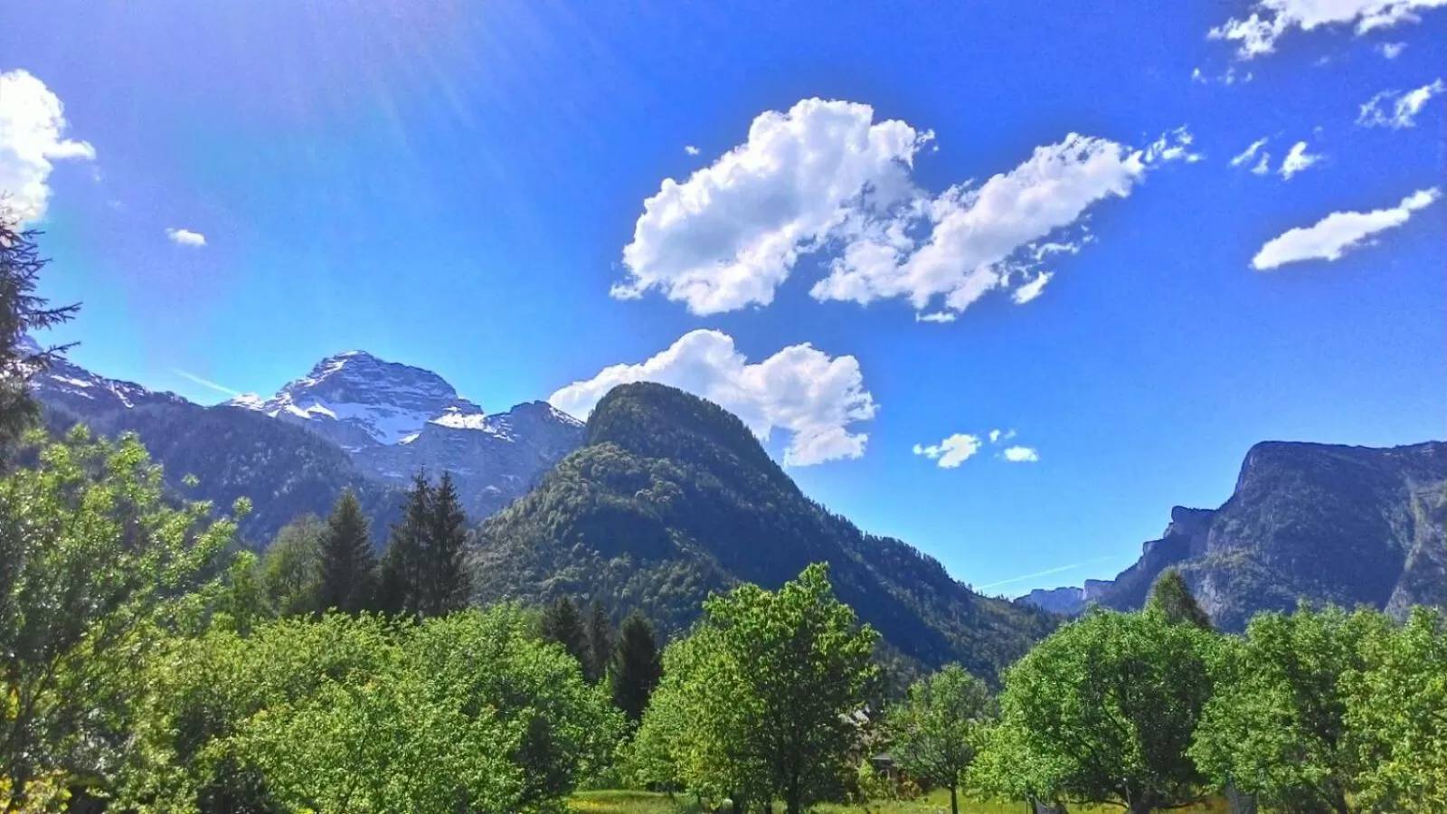 Natural landscape in Pension Wildental