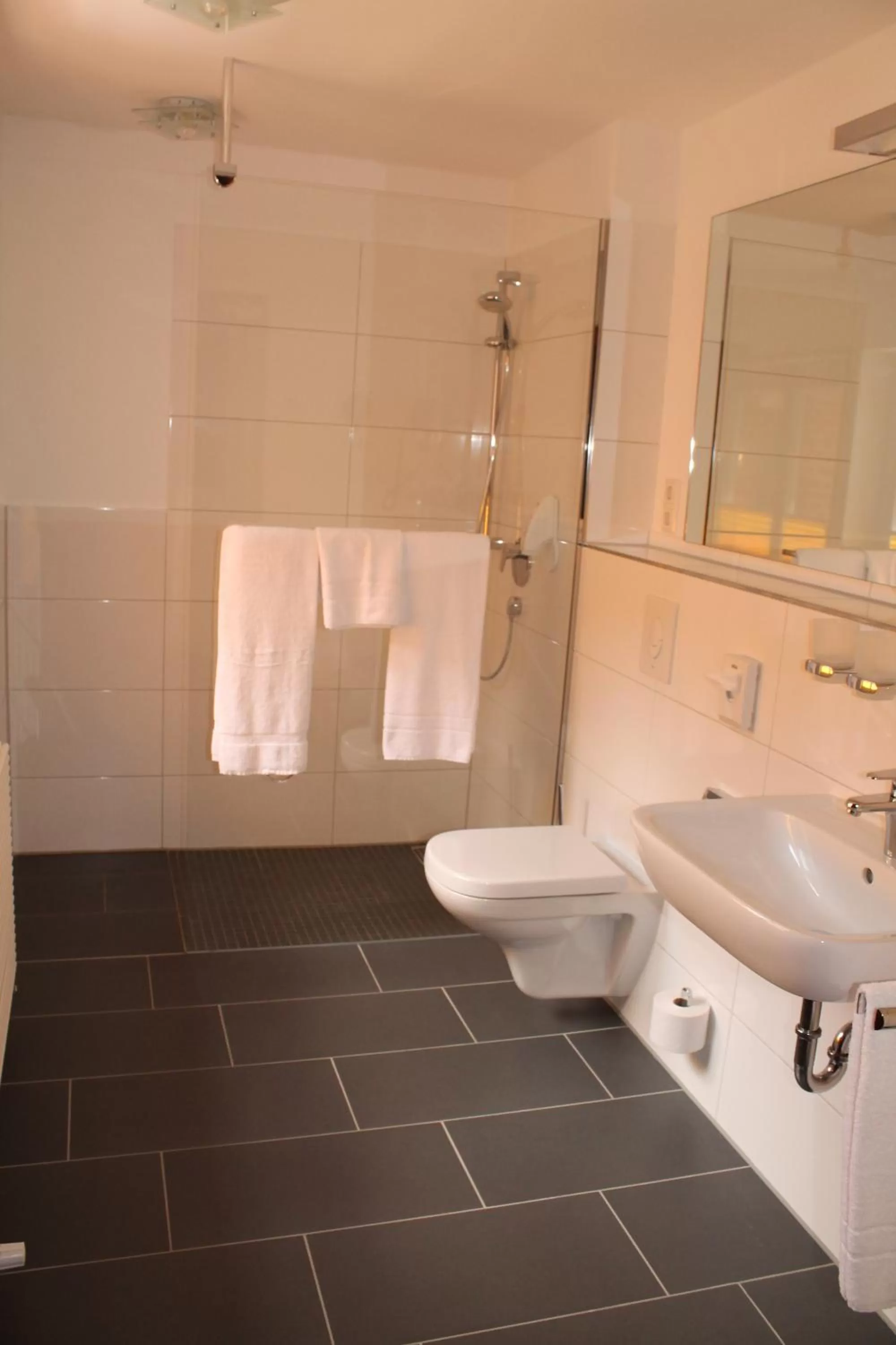 Shower in Hotel Fürsteneck