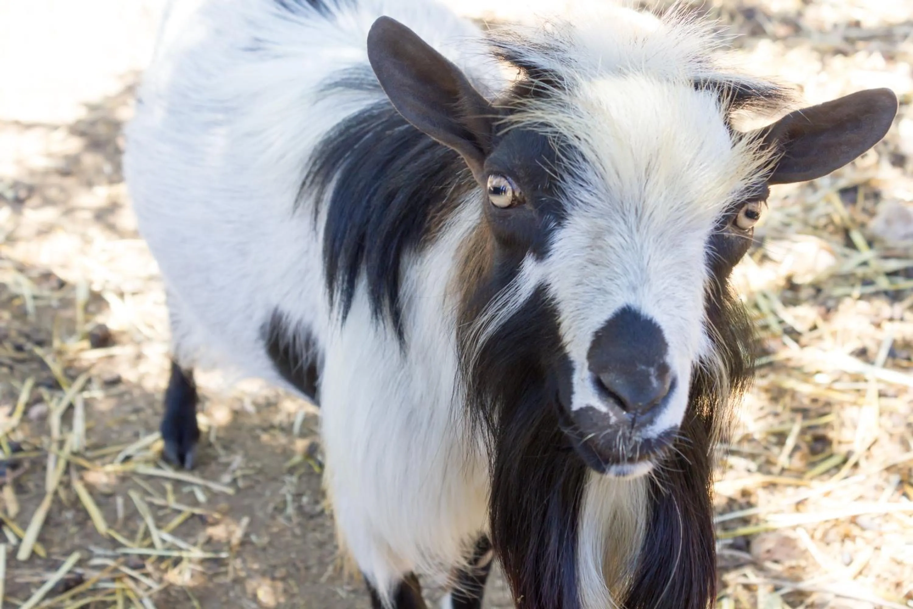 Property building in Agriturismo Fasano