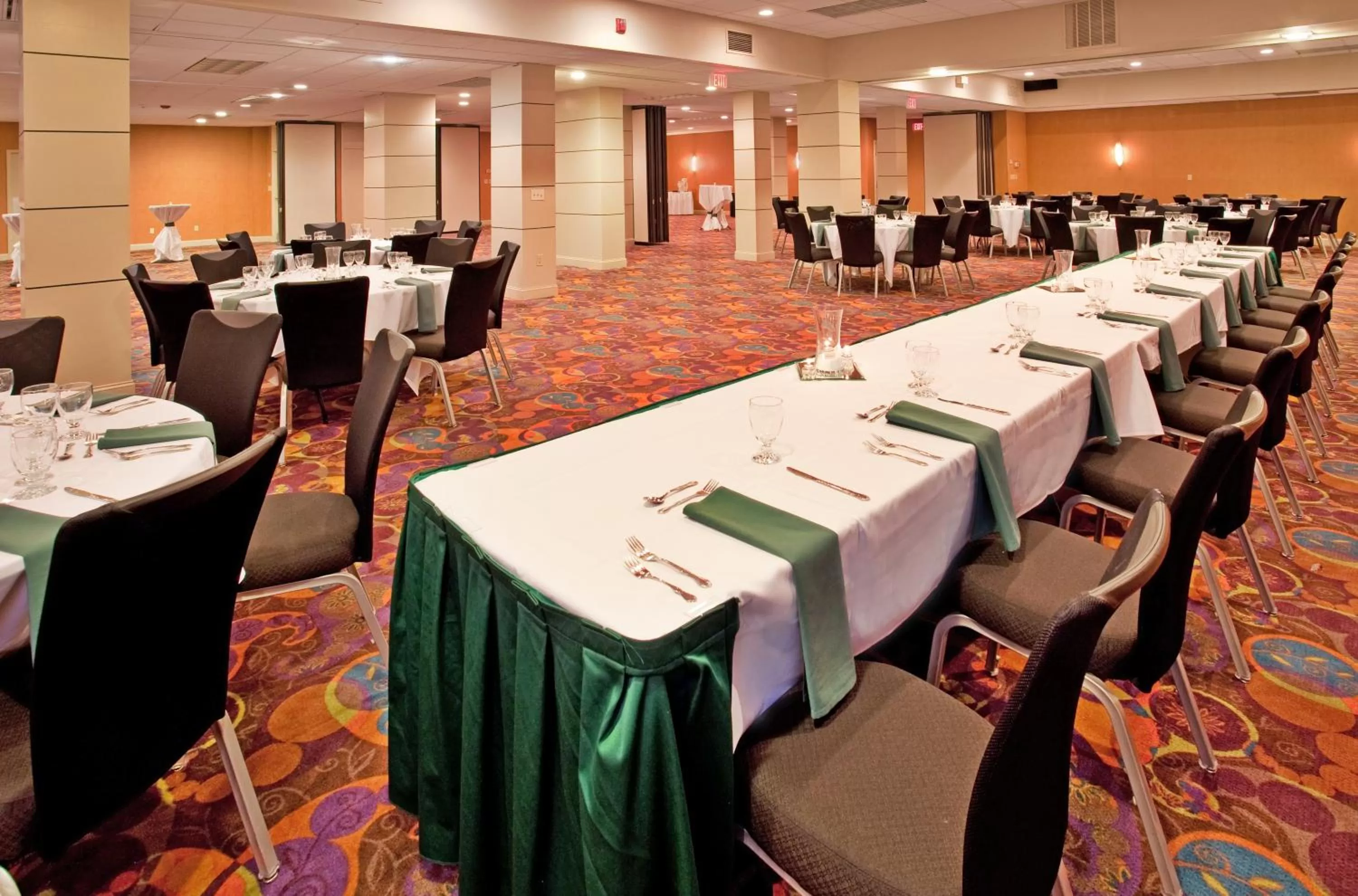 Banquet/Function facilities in Holiday Inn At the Campus by IHG