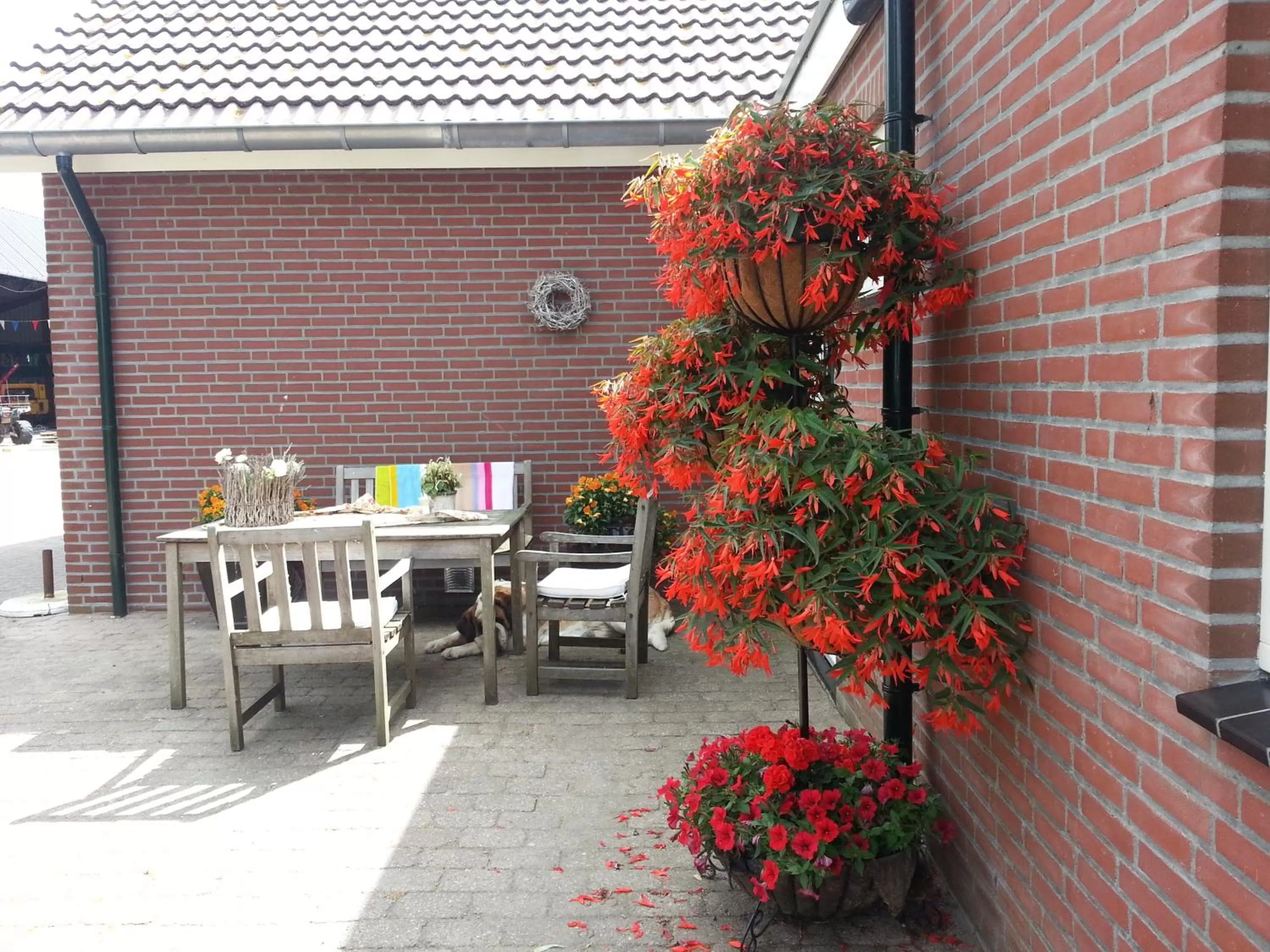Balcony/Terrace in B&B de Rivierduin