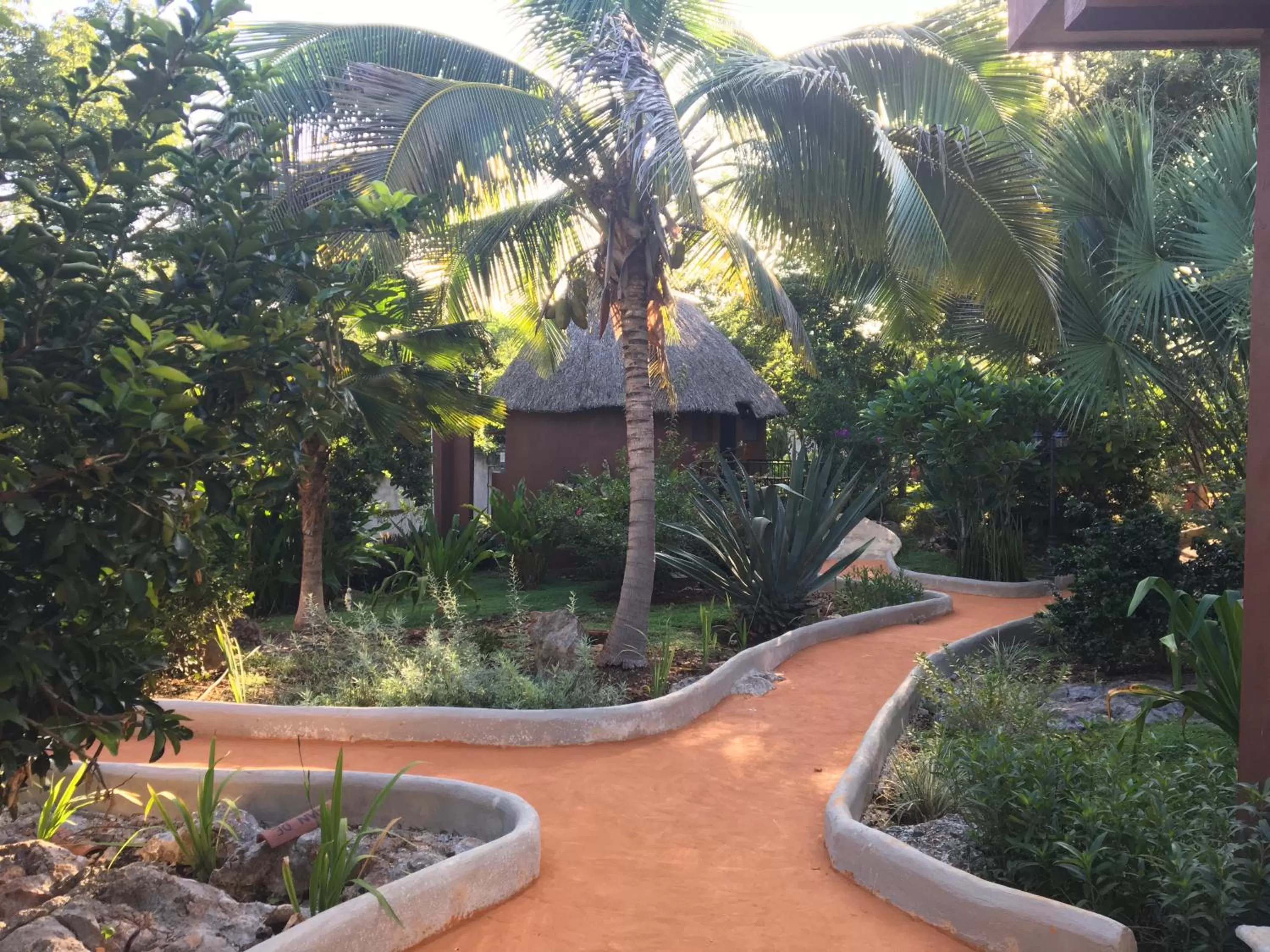 Summer, Garden in The Pickled Onion Eco-Boutique B&B