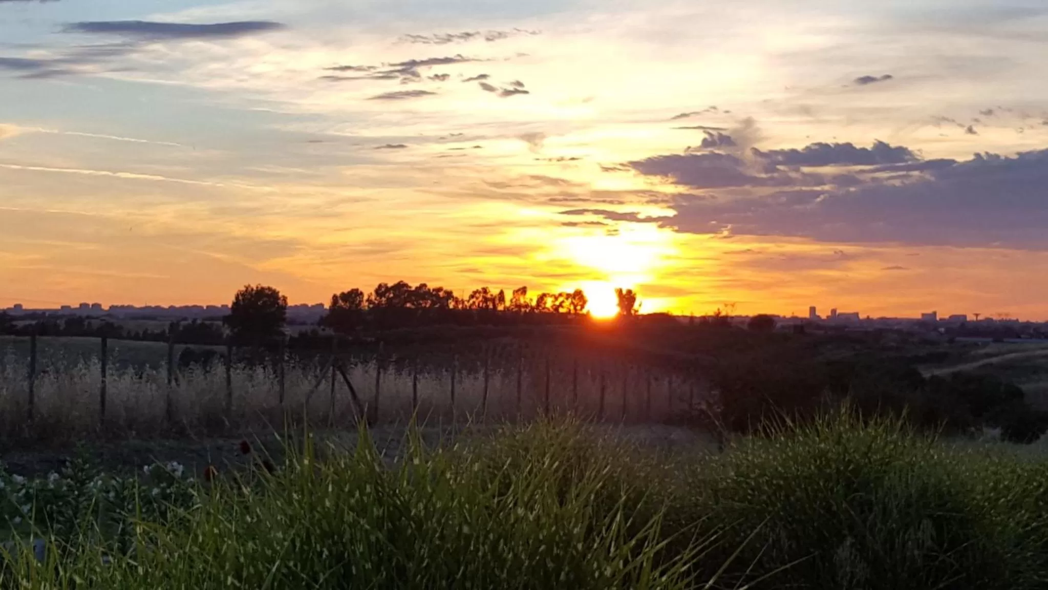 Sunset in La collina delle fonti
