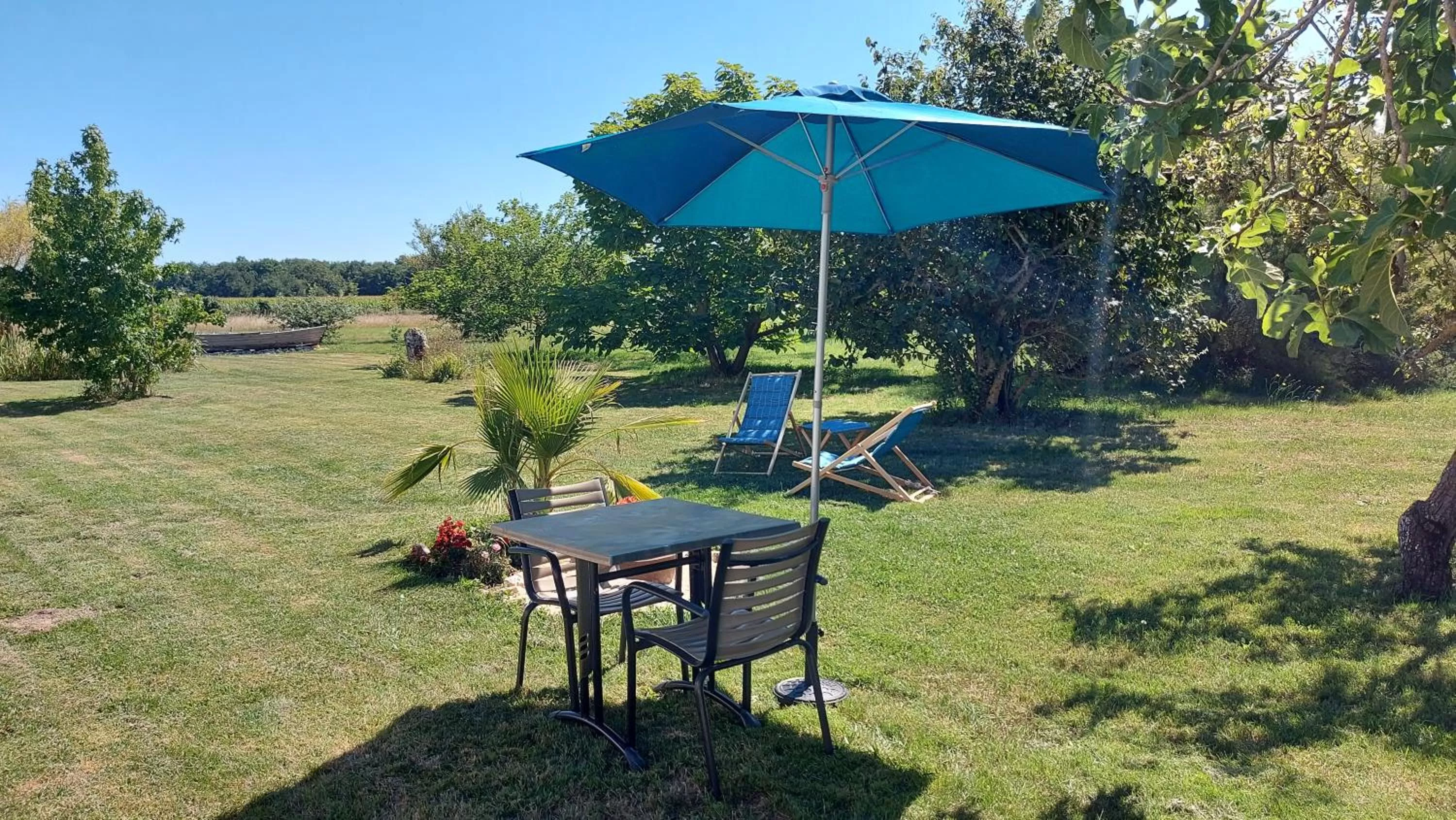 Natural landscape, Garden in MOULIN DE MAUZAC
