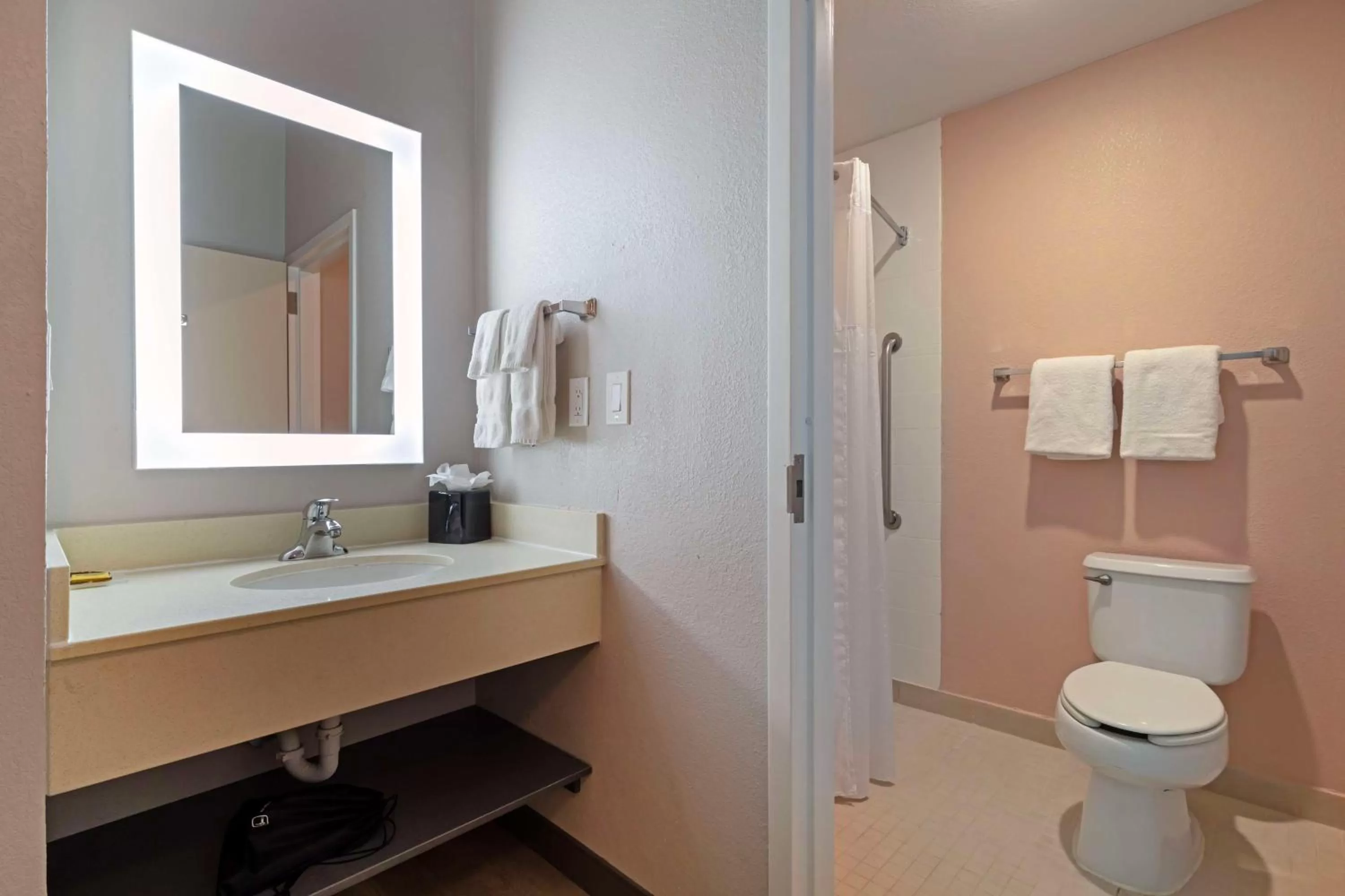 Bathroom in Best Western Plus Fort Worth North