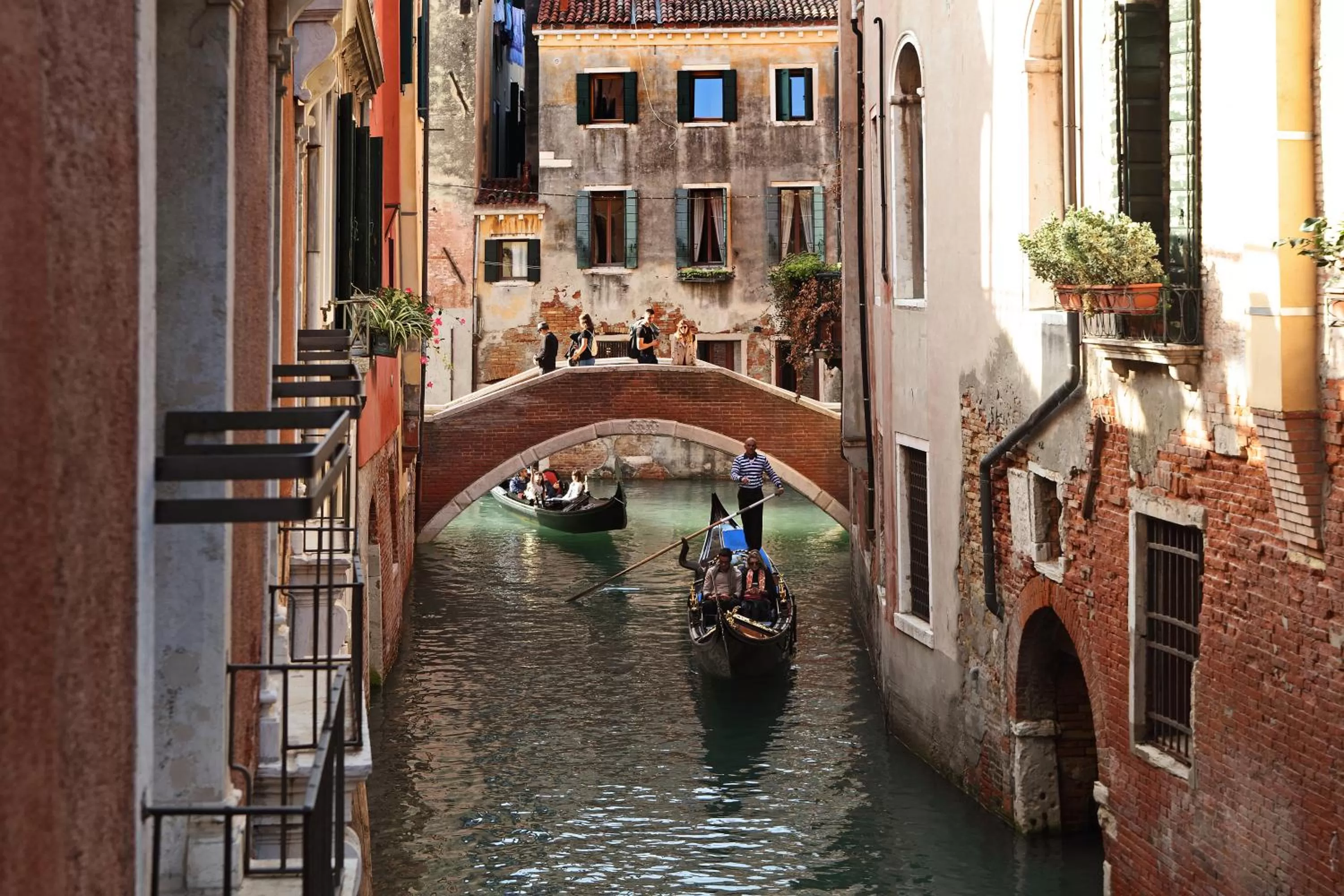 View (from property/room) in Ruzzini Palace Hotel