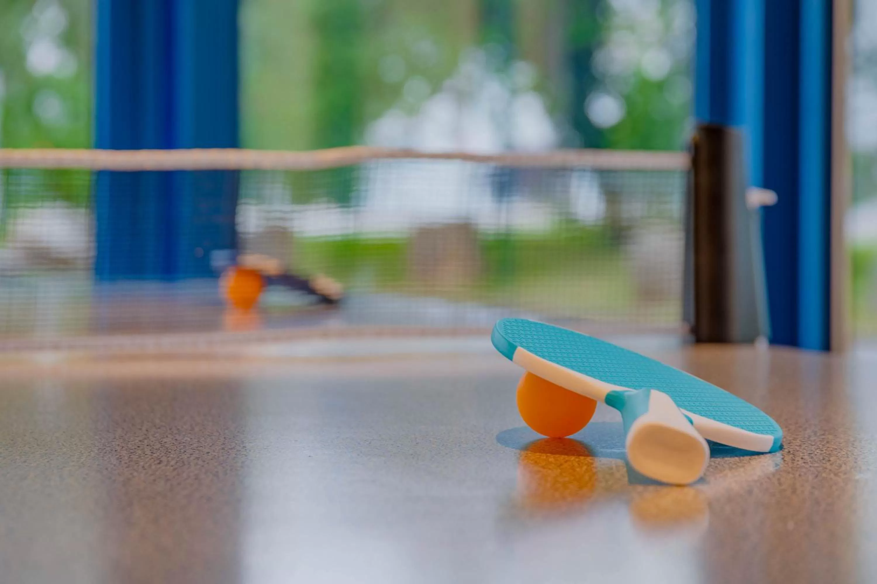 Activities in Ibis Budget Lyon Est Saint Quentin Fallavier