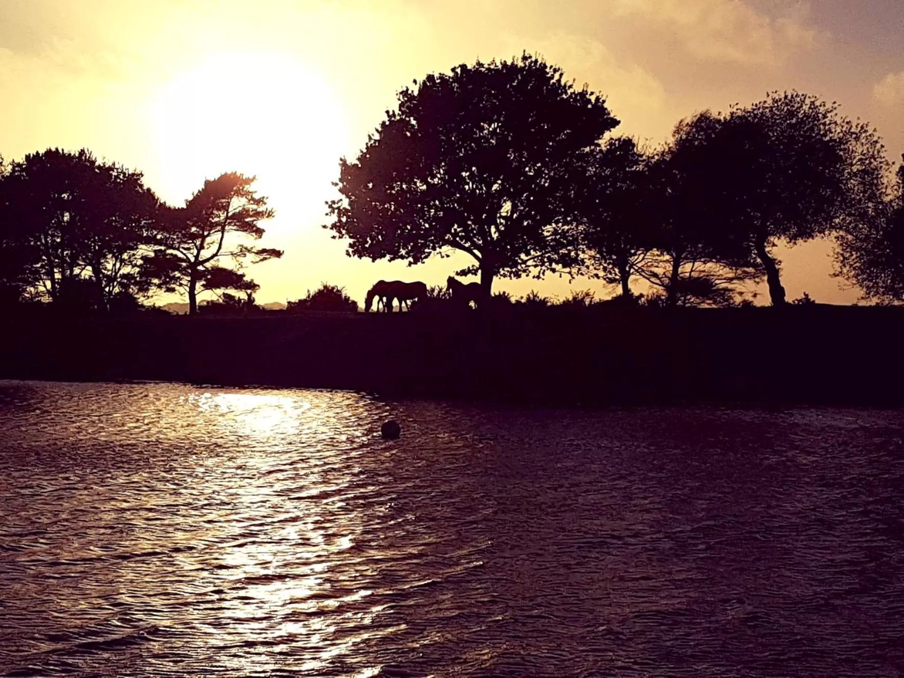 Off site in Wildwood B&B