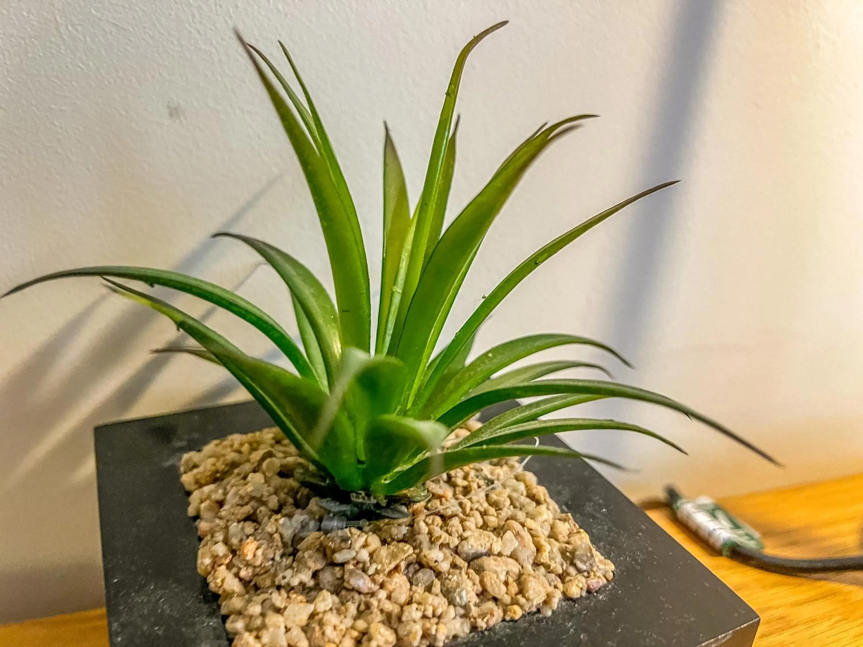 Decorative detail in County Hall Apartment Hotel