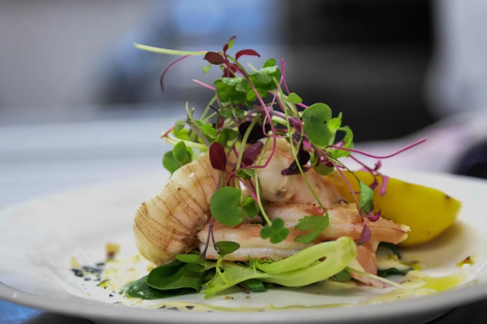 Food and drinks in Novotel Sunshine Coast Resort