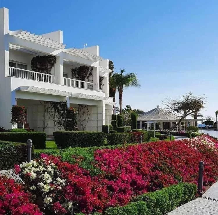 Garden in Monte Carlo Sharm Resort & Spa