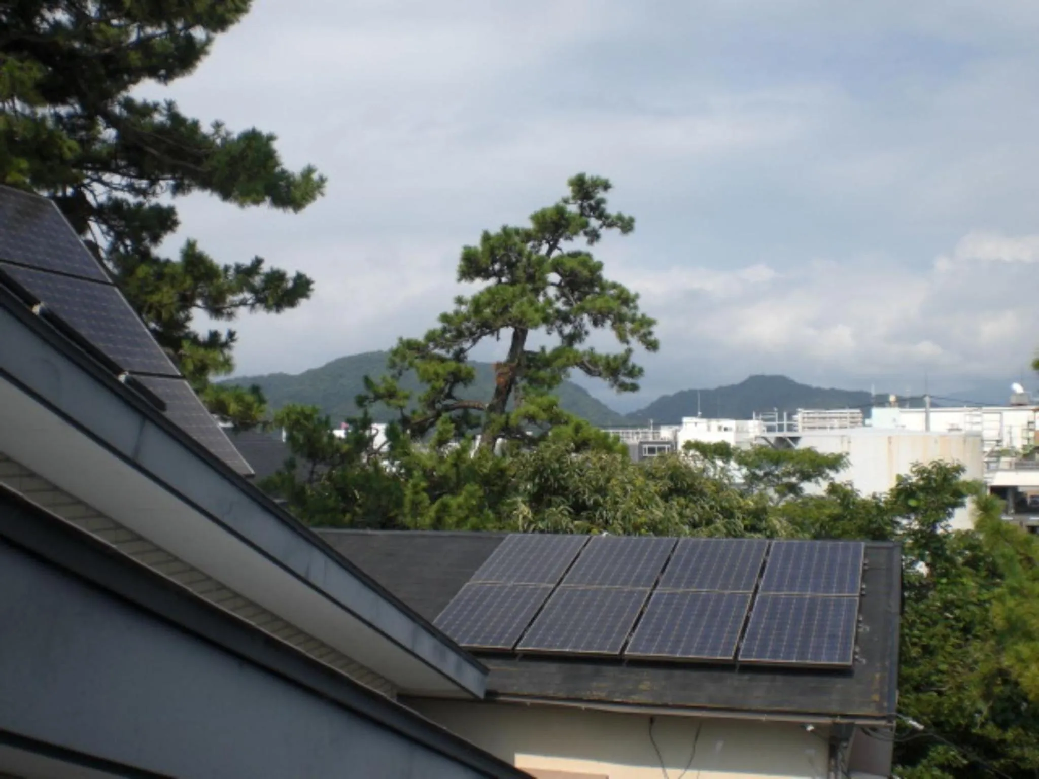 Minato Oasis Numazu / 沼津観光の中心、伊豆観光の拠点に好立地！沼津港に位置し交通・飲食・コンビニ等至便です！