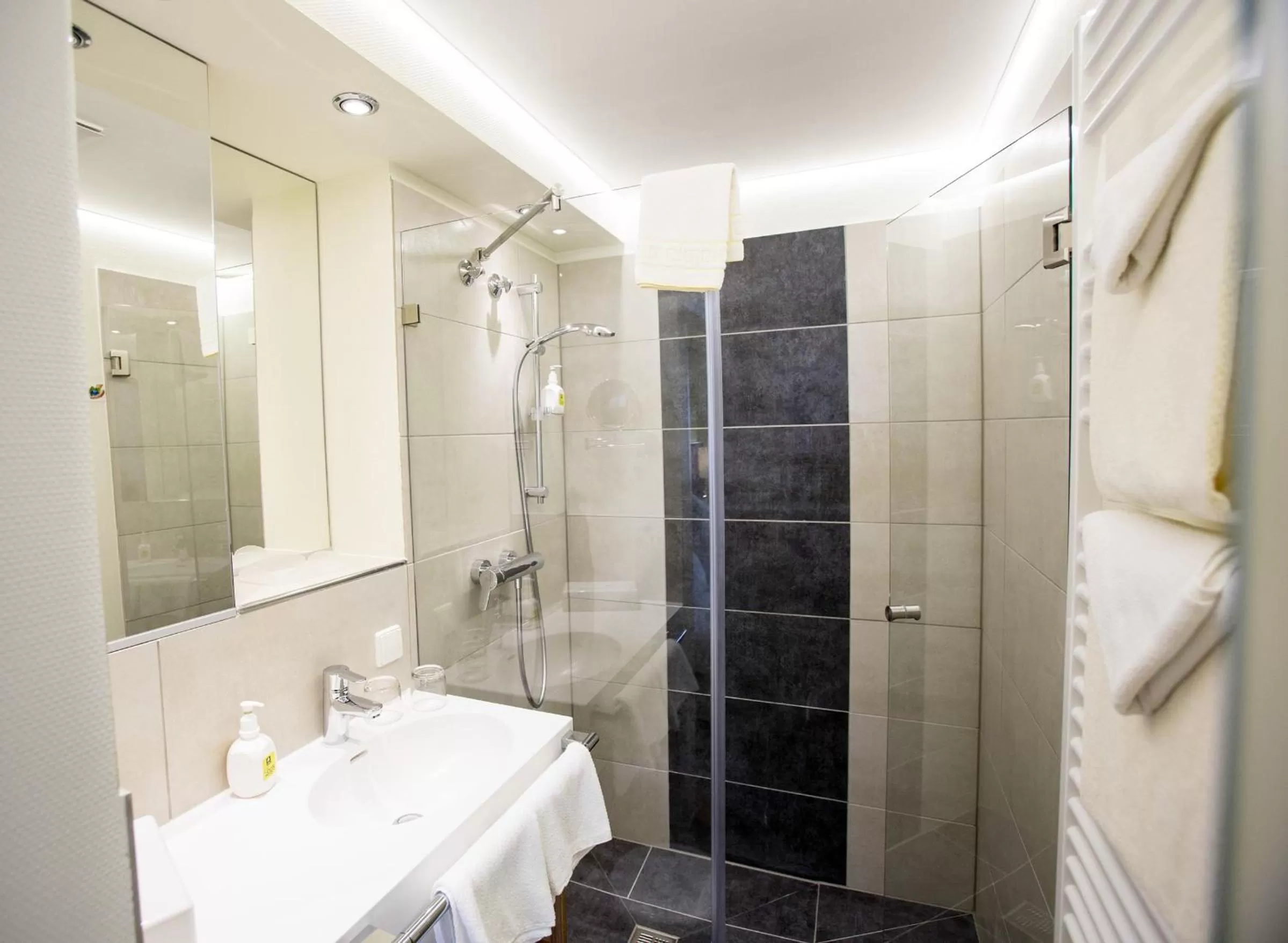 Shower in Pfalzhotel Asselheim