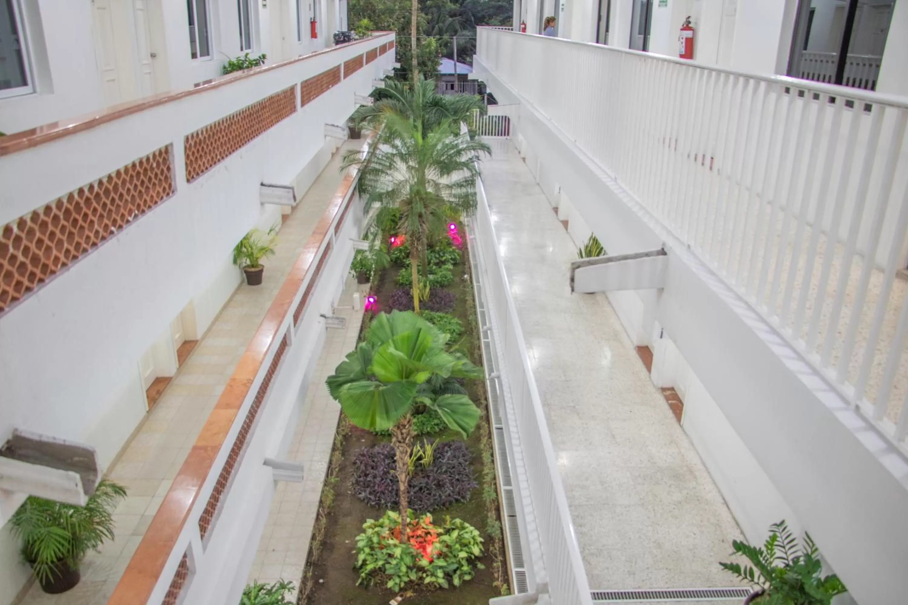 Garden in Hotel Casa Blanca