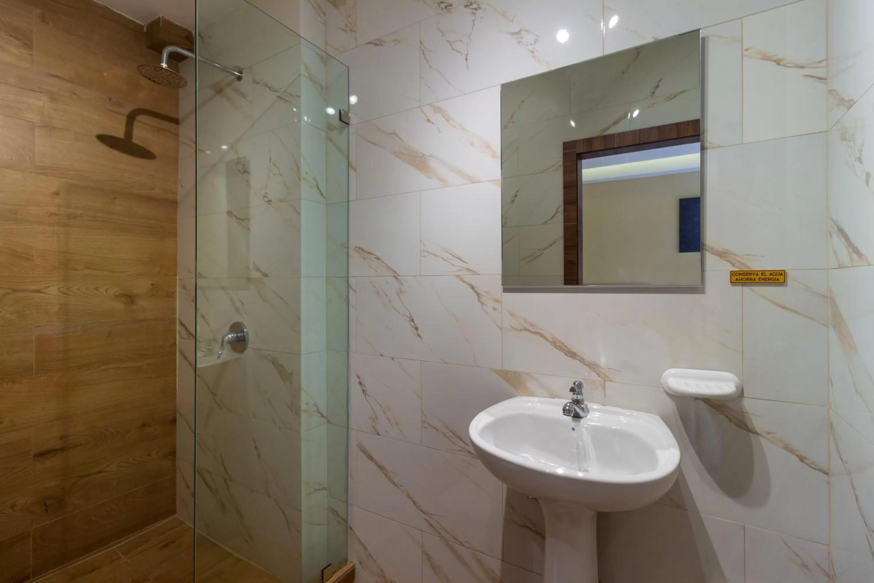 Shower in Hotel Sada