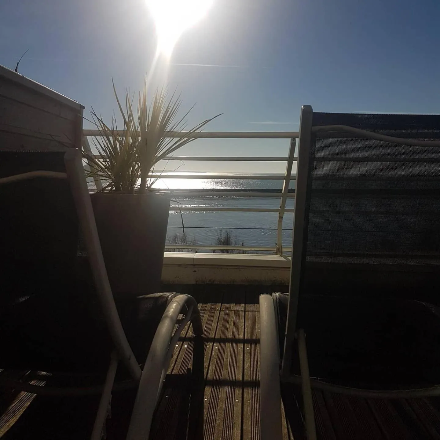 Patio in Logis Hôtel Sea View