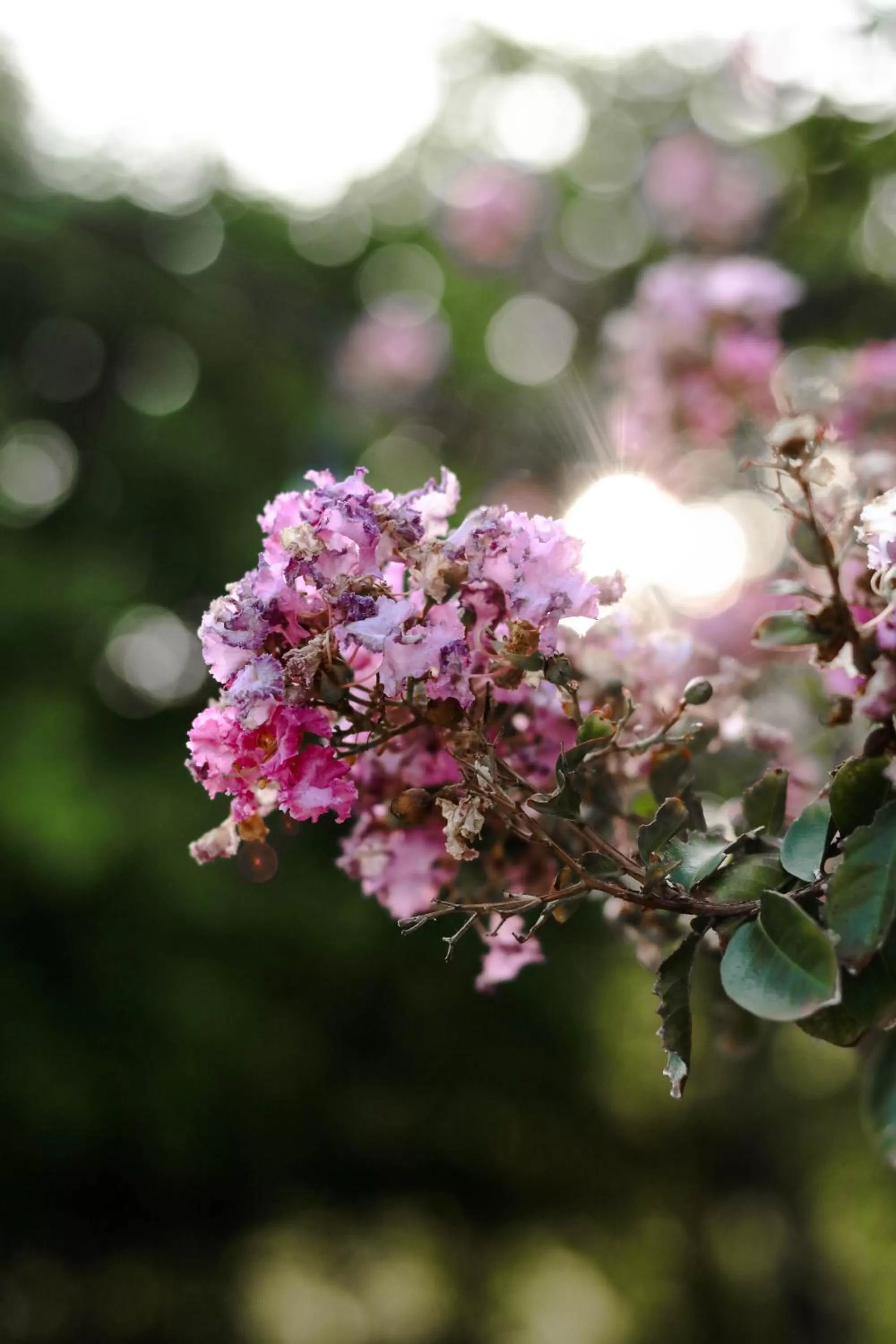 El Pedregal - Hotel en la Naturaleza