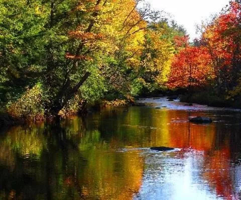 Area and facilities in Follansbee Inn