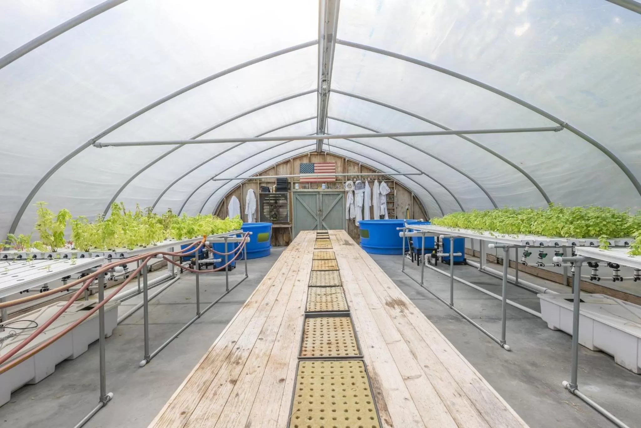 Other in Omni Amelia Island Resort & Spa