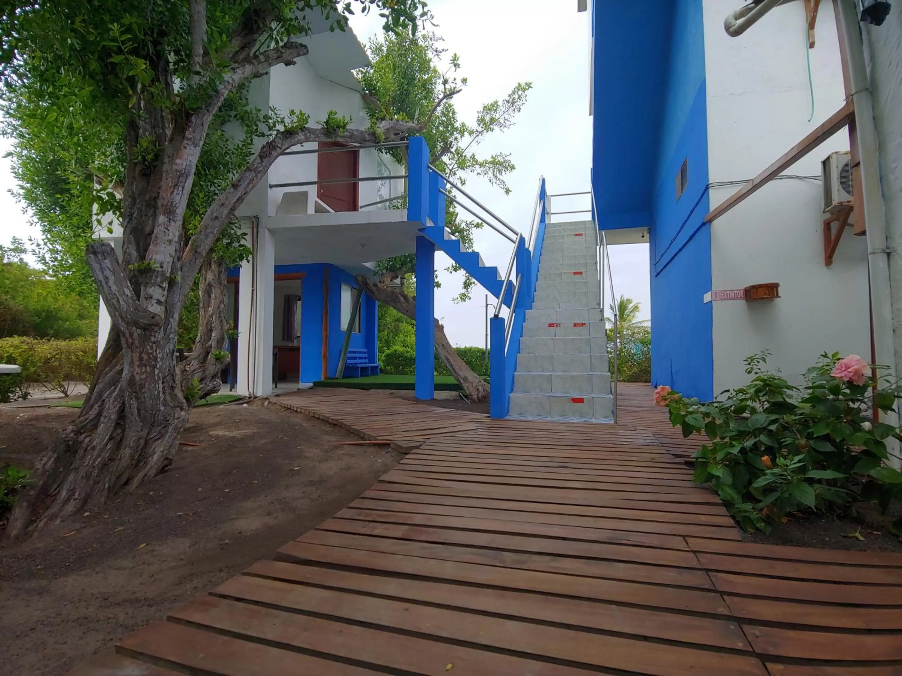 Patio, Property Building in Hotel La Jungla