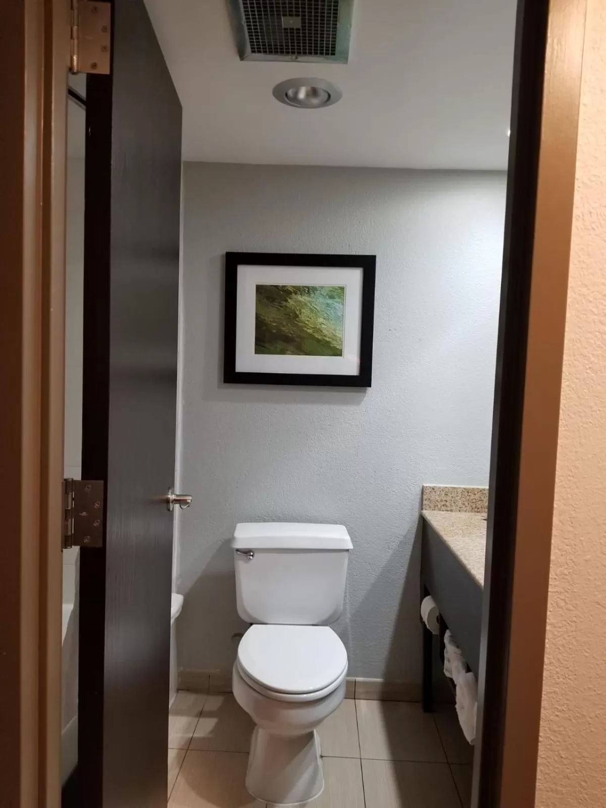 Toilet in Wyndham Garden Hotel - Jacksonville
