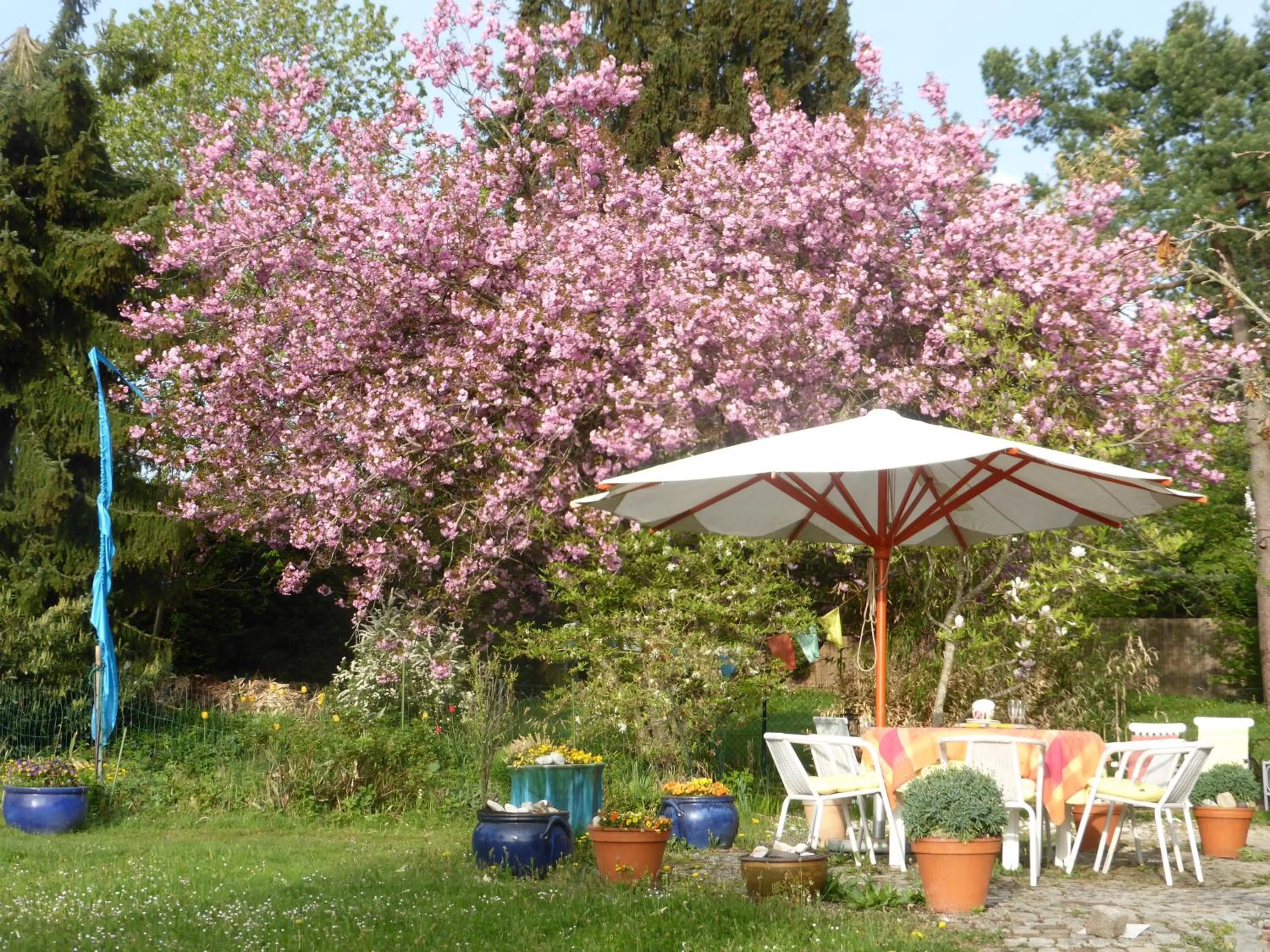 Spring in Bed and Breakfast Bavaria München