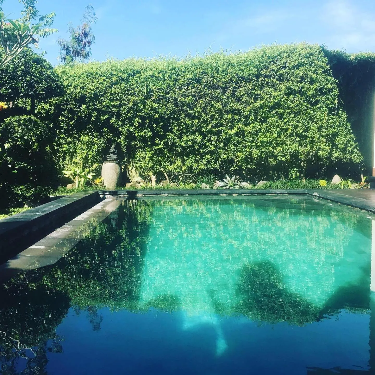 Swimming pool in Ubud Paradise Villa