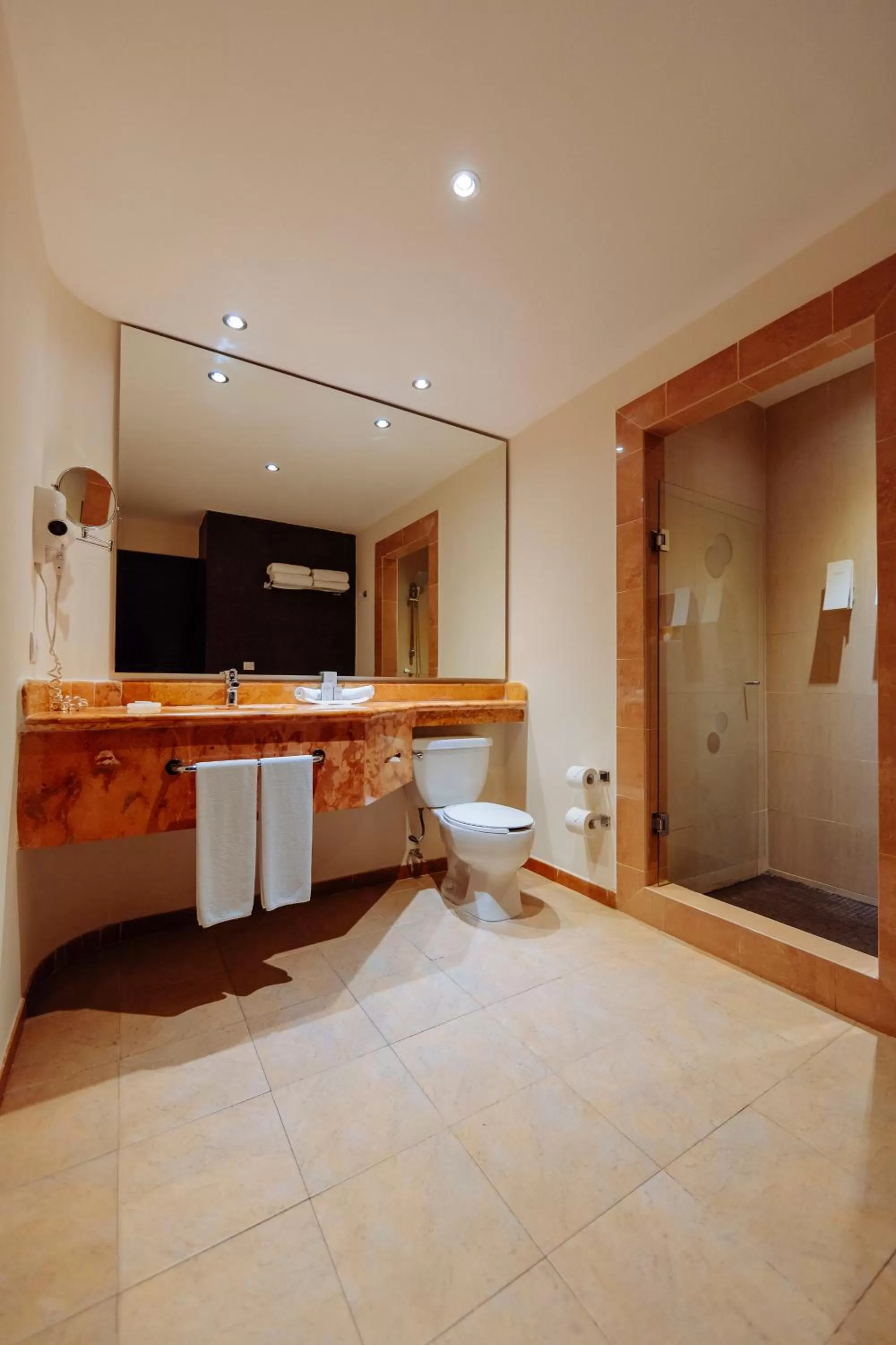 Toilet in Occidental at Xcaret Destination - All Inclusive