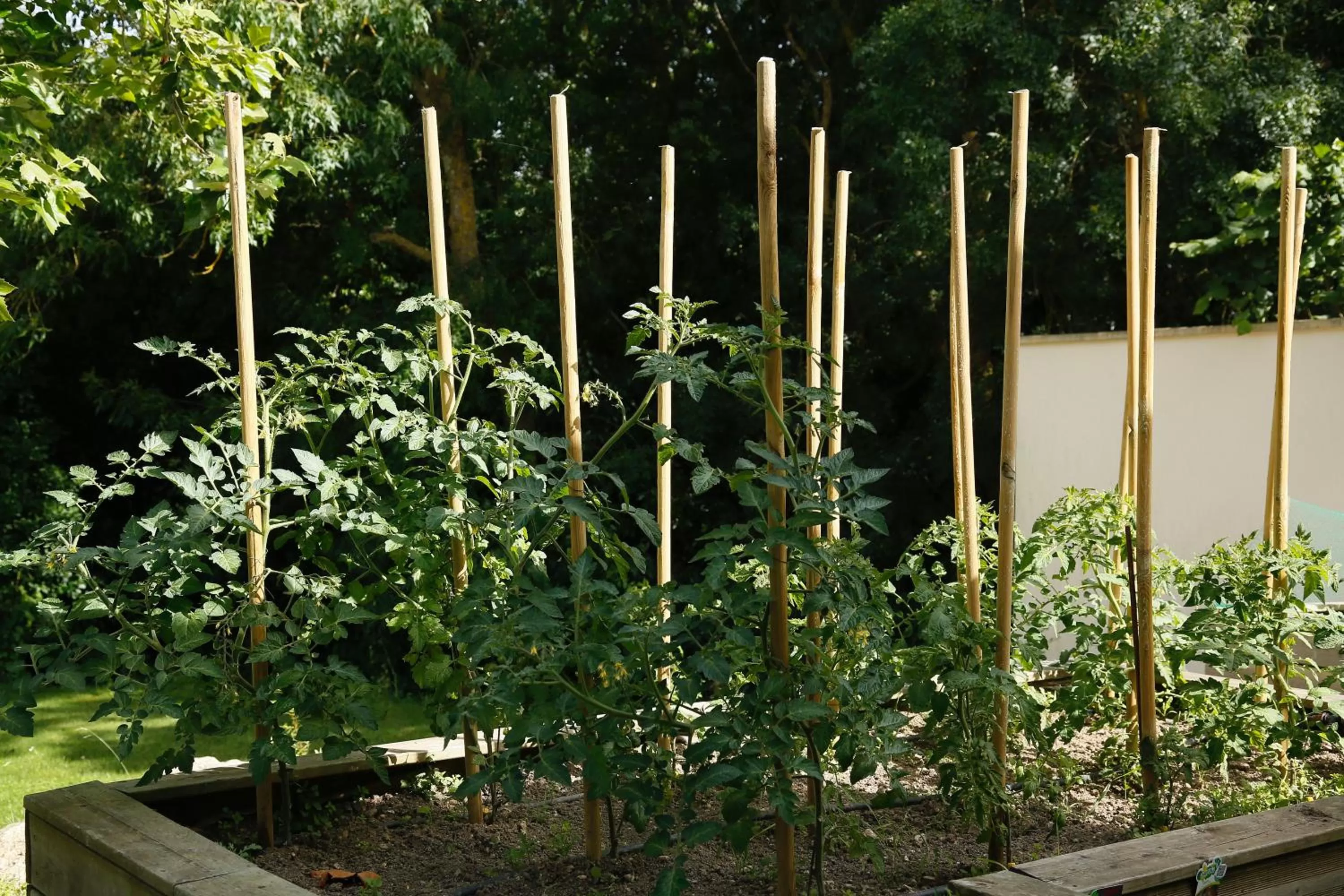 Garden in Côté Océan Resort