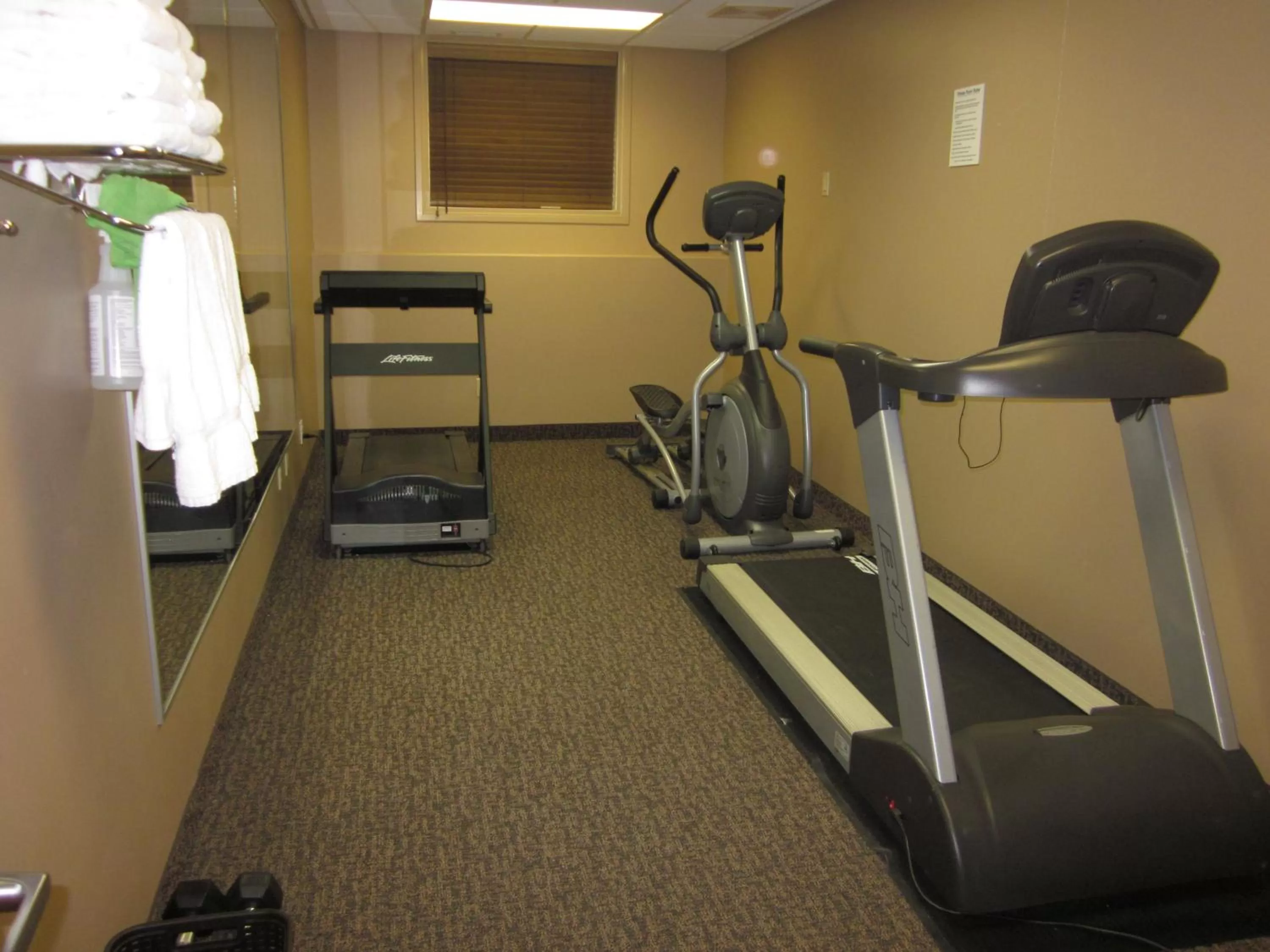 Fitness centre/facilities in Franklin Suite Hotel