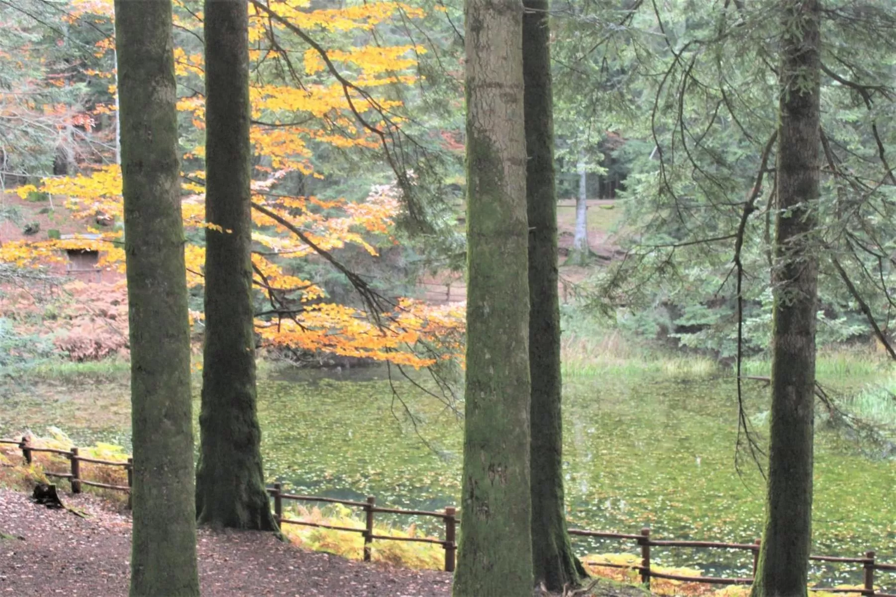 Natural landscape in B&B BORGHI