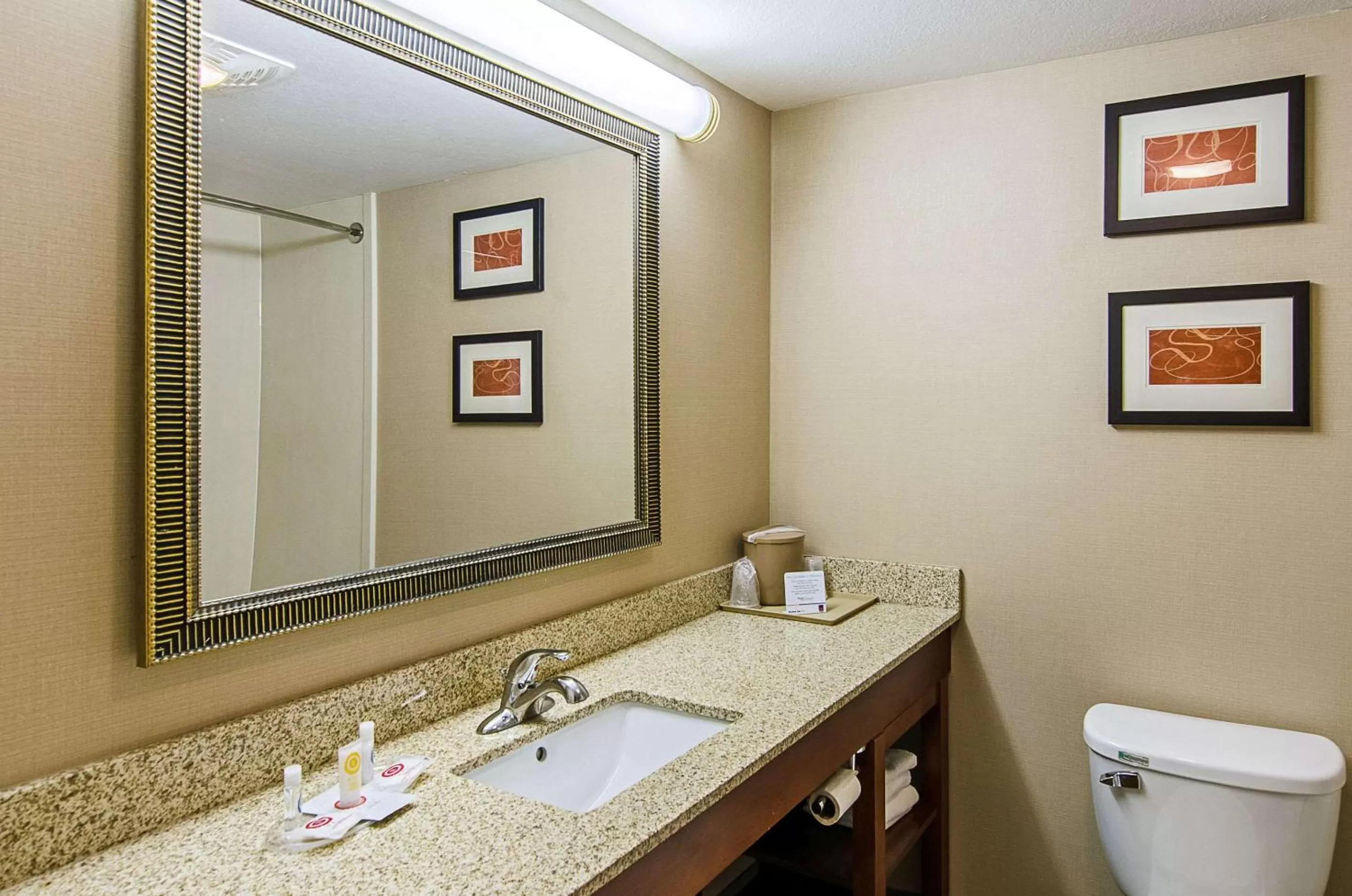 Bathroom in Comfort Suites Wytheville
